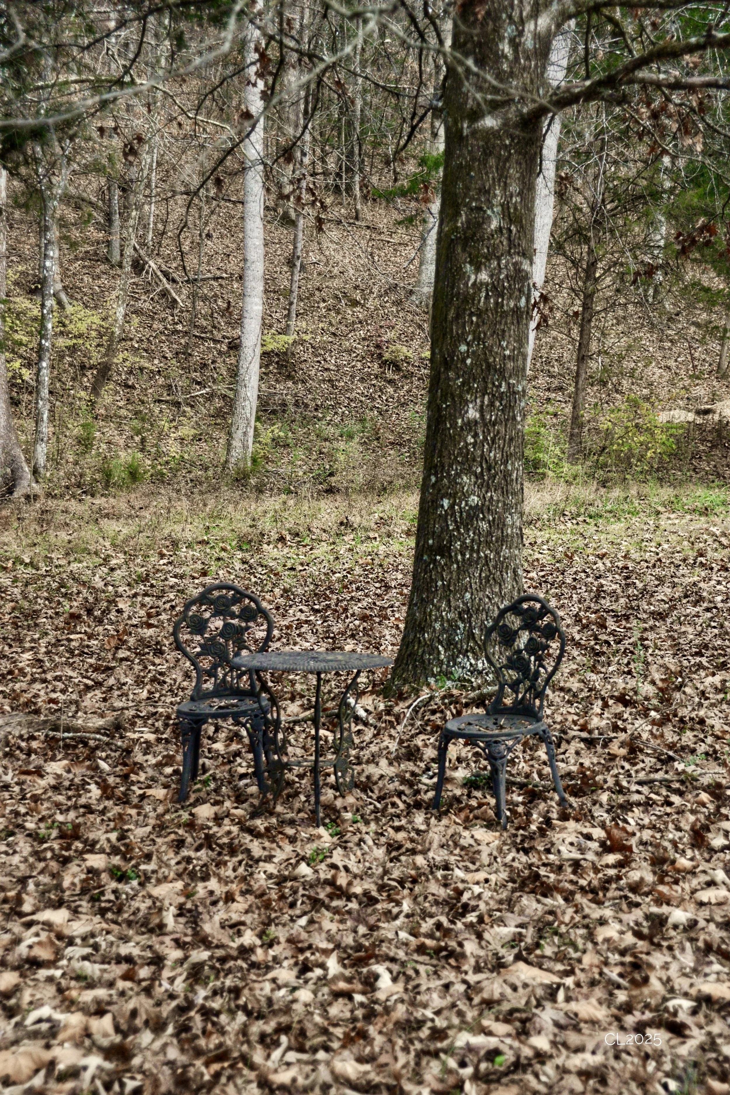 DSC_2418.JPG