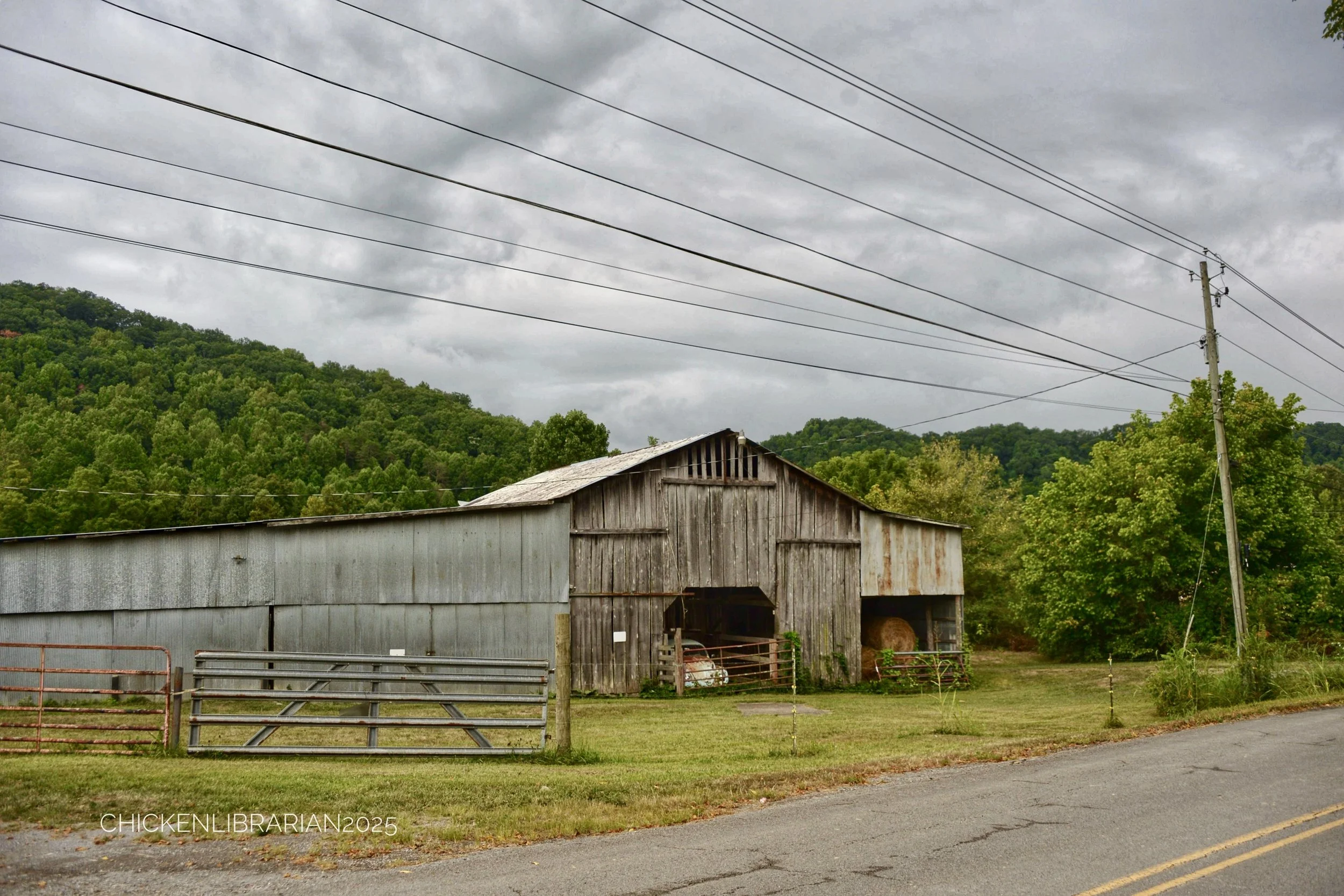 DSC_9984.JPG