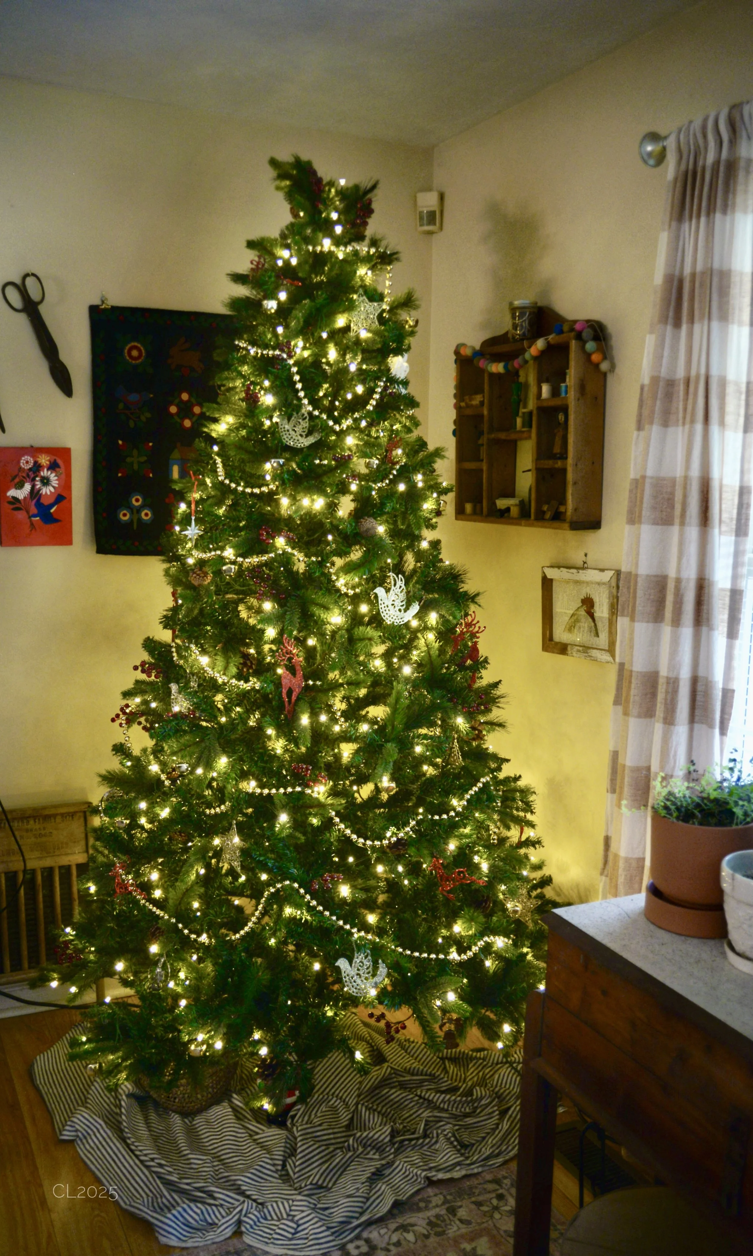 DSC_2448.JPG
