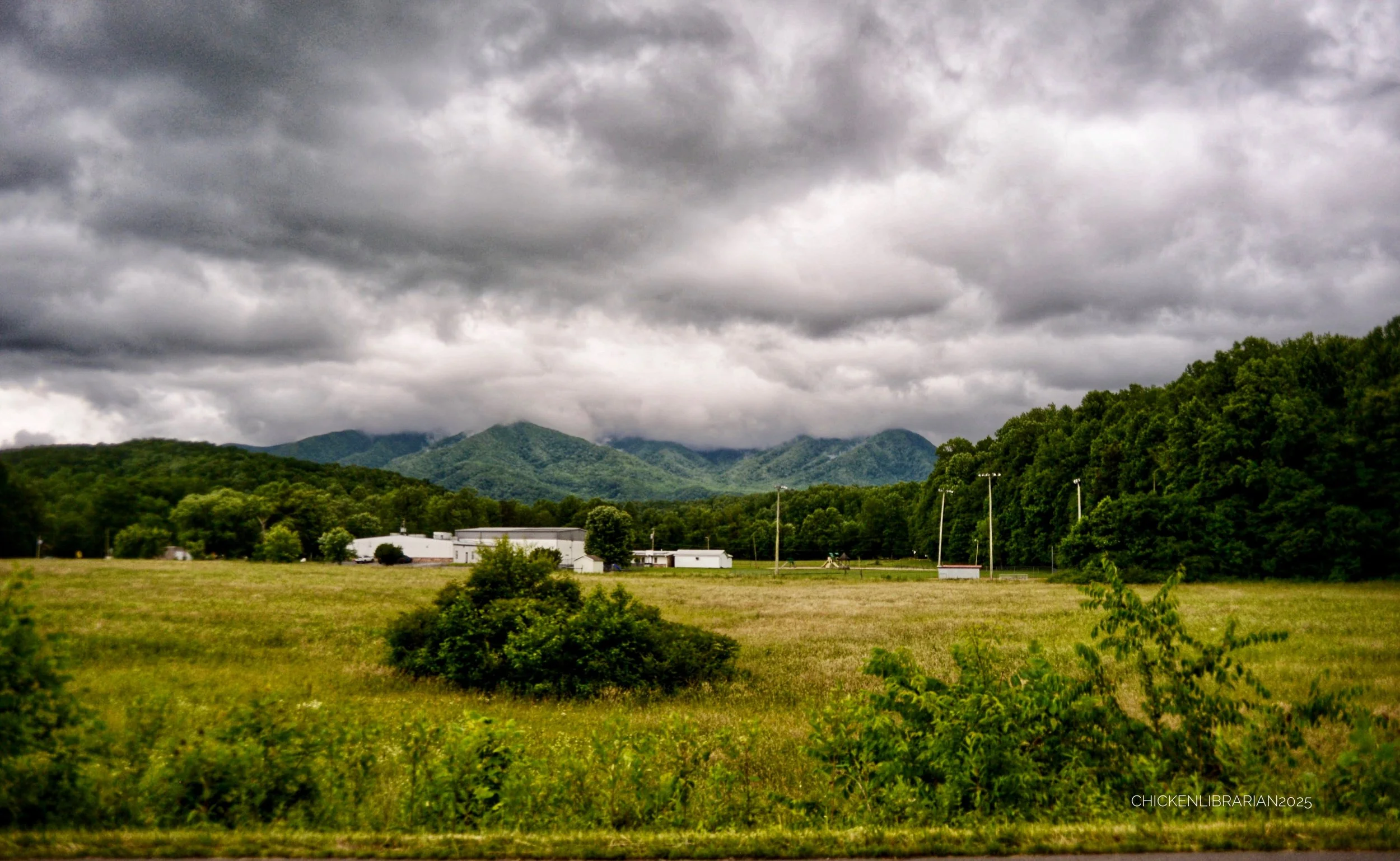 DSC_7462.JPG