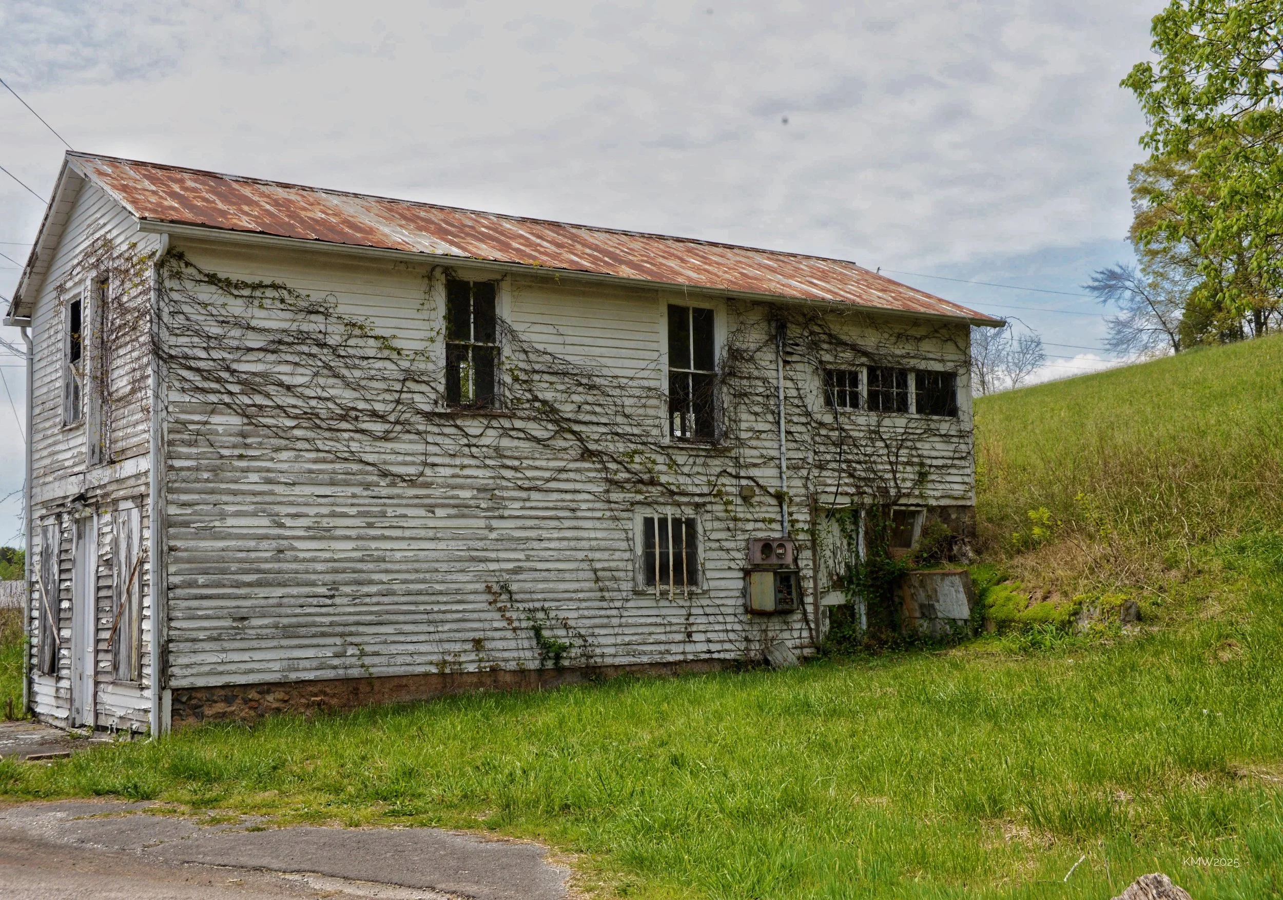 DSC_6887.JPG