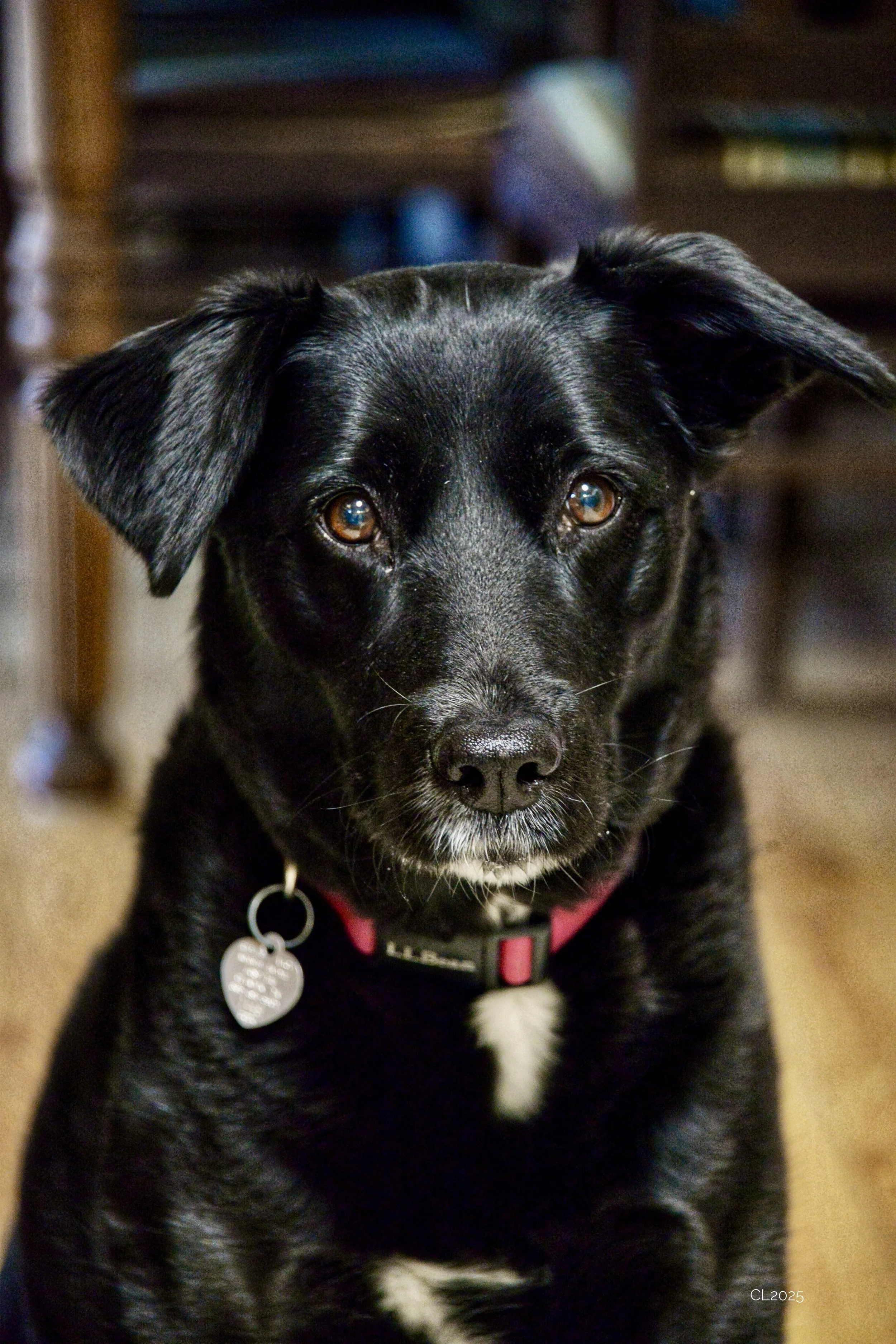 DSC_2353.JPG