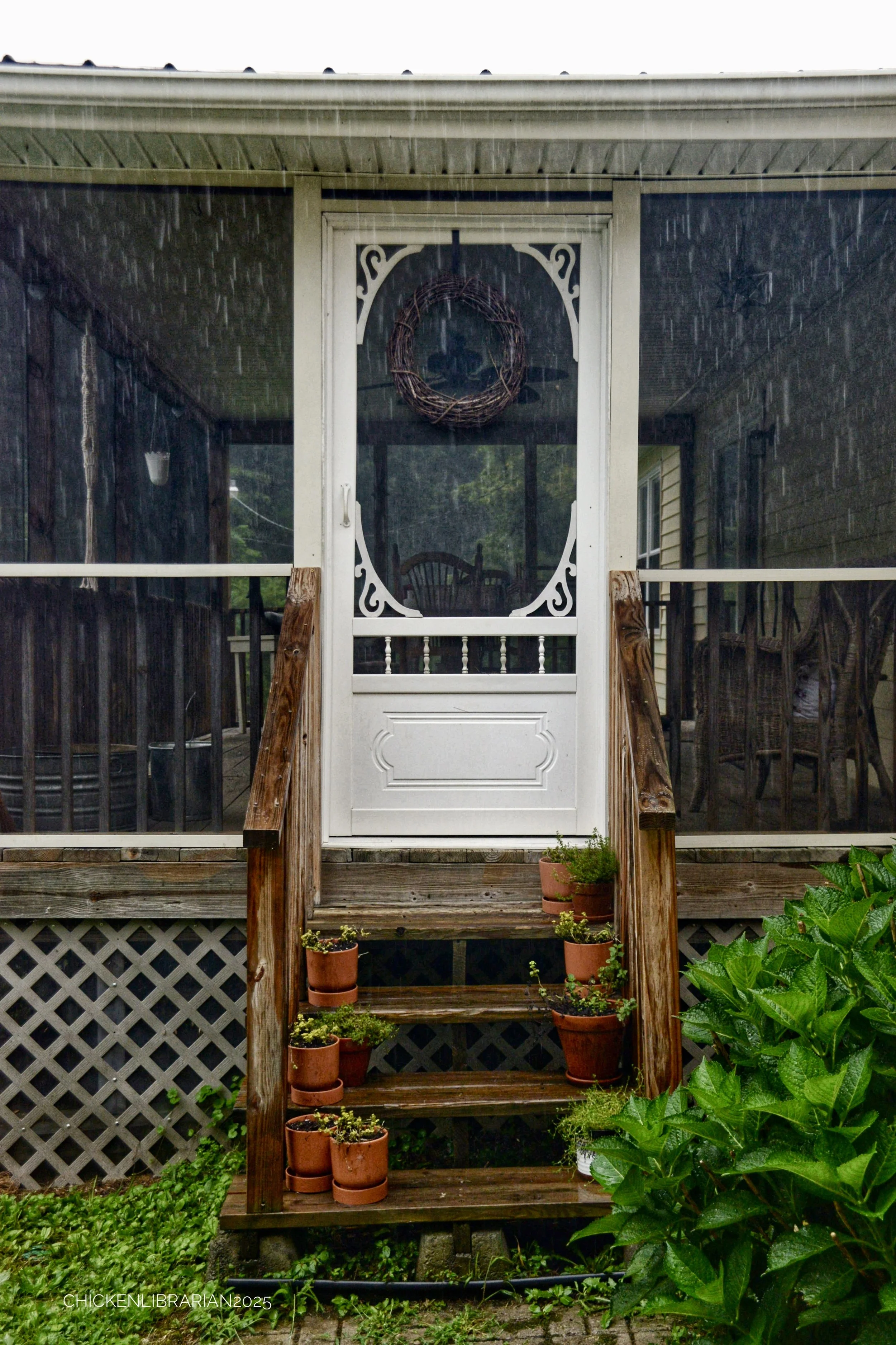 DSC_0004.JPG