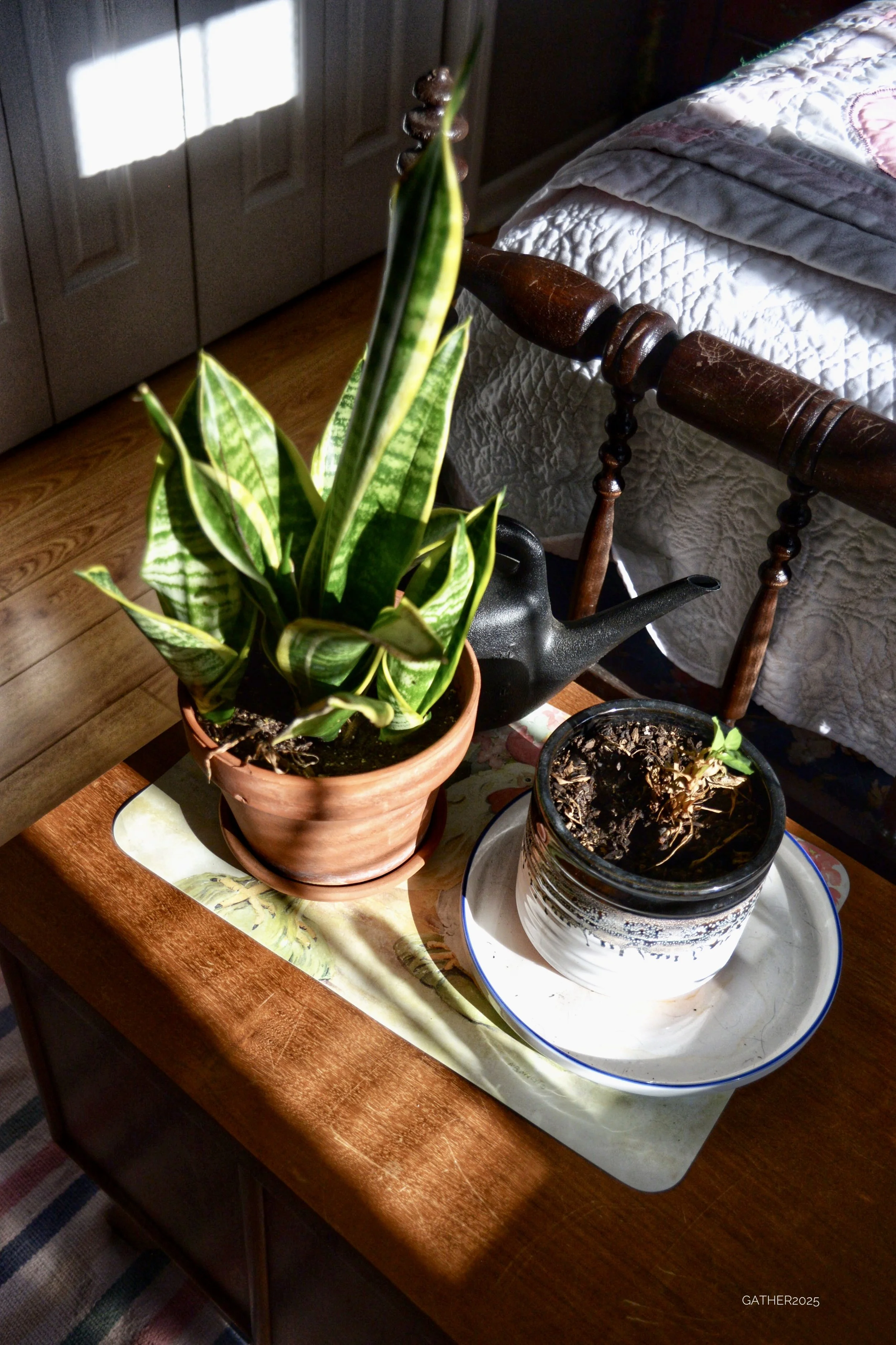 DSC_6434.JPG