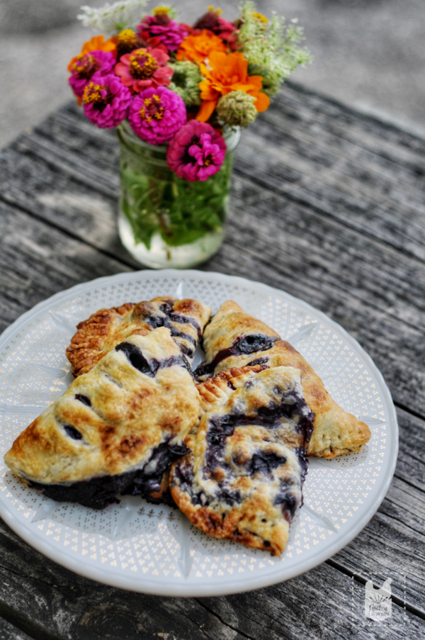 A white plate with four blueberry scones on a rustic wooden table, with a glass jar of colorful flowers in the background.