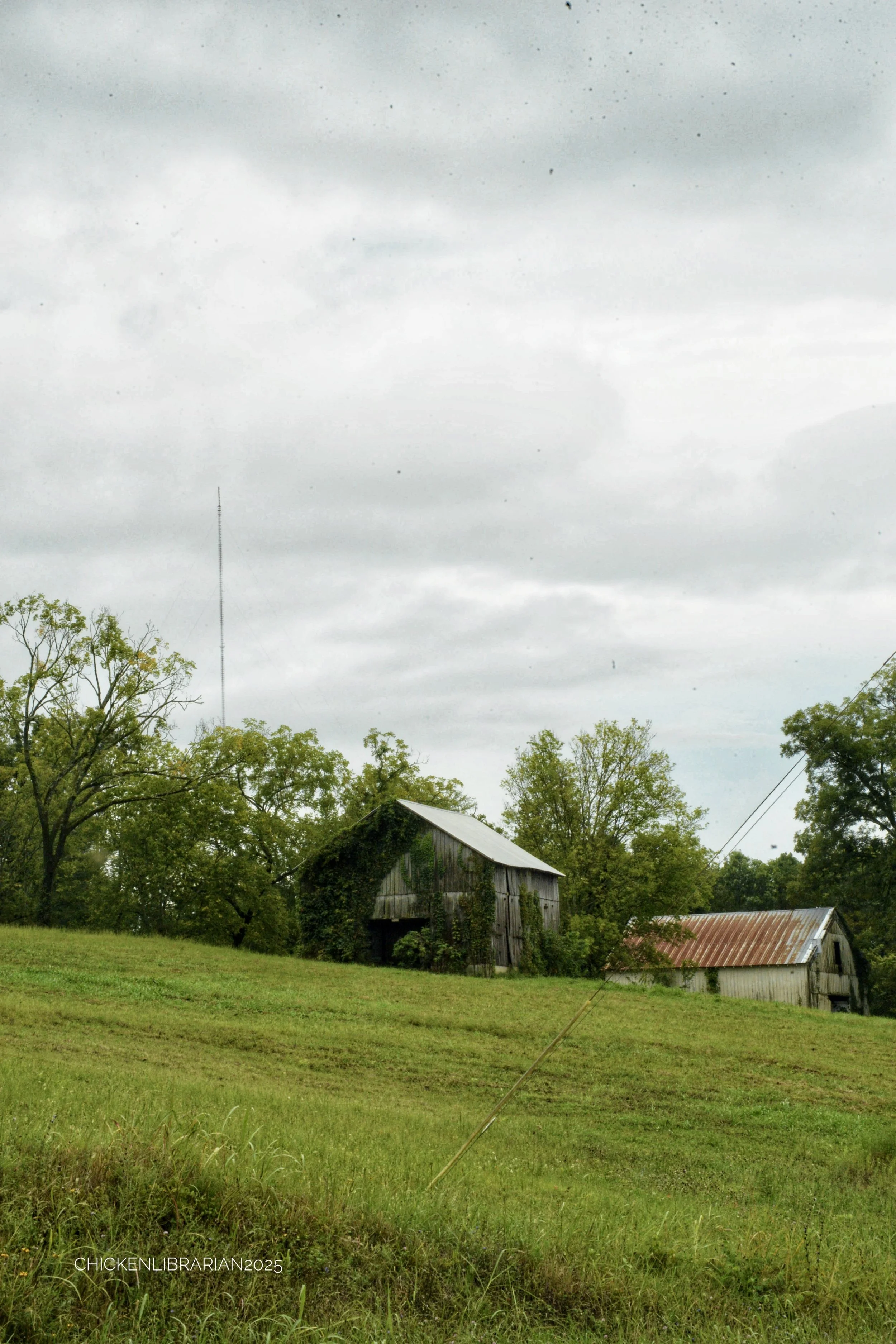 DSC_0013.JPG