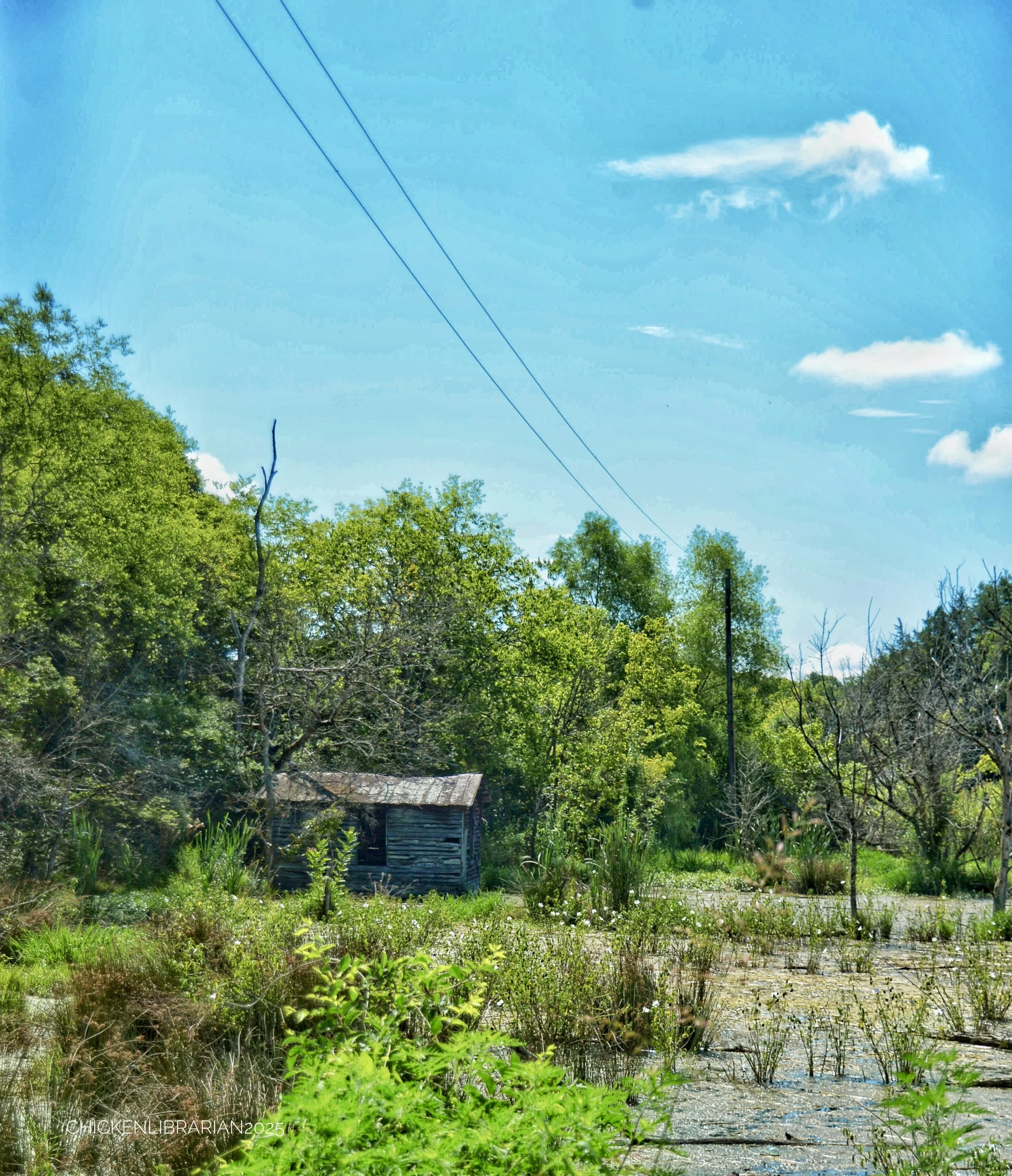 DSC_8919.JPG