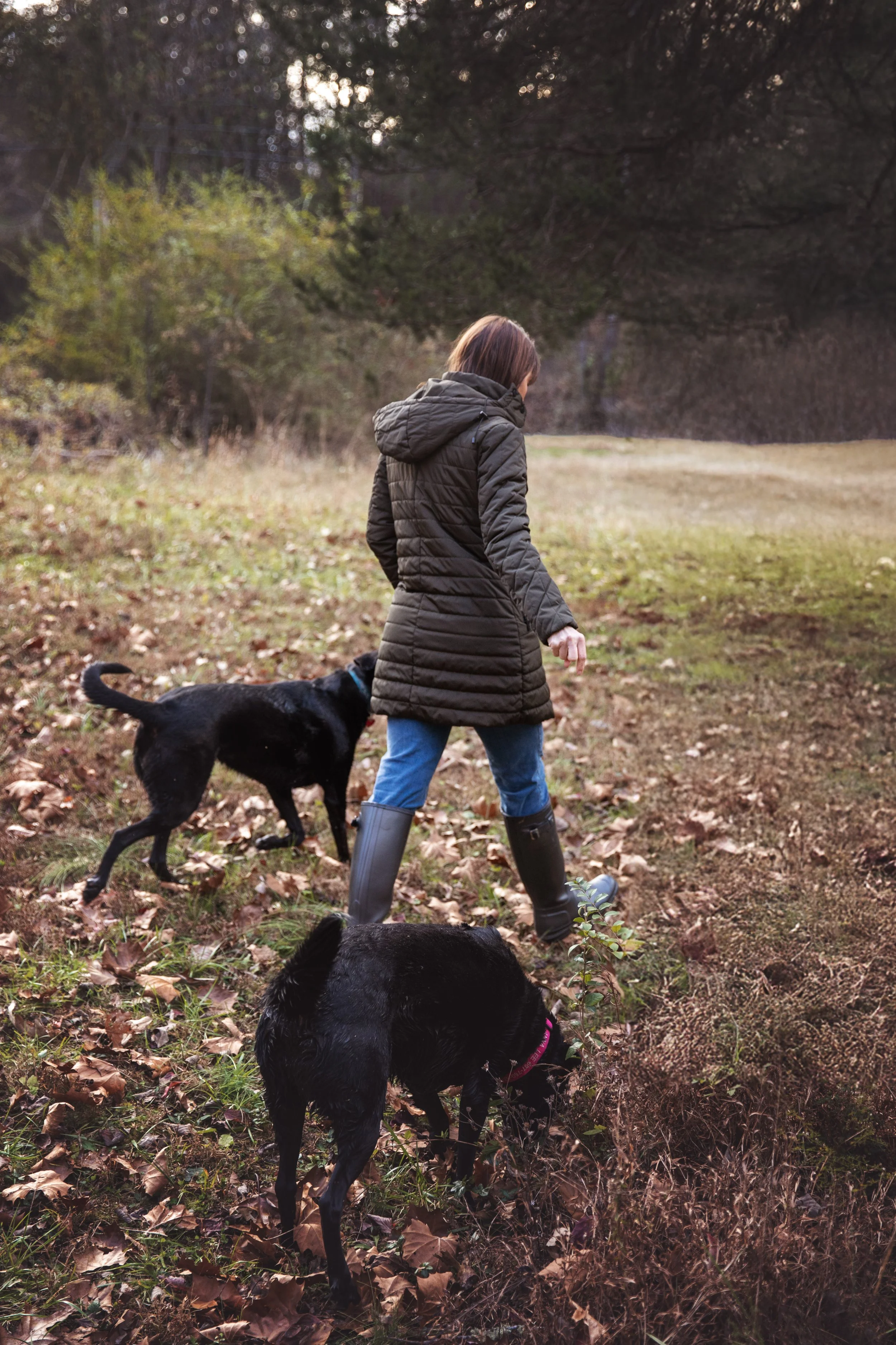 A woman with brown hair wearing a black quilted jacket, blue jeans, and tall rubber boots walking outdoors in a forested area with two black dogs, one on a leash, on a fallen leaves-covered ground.