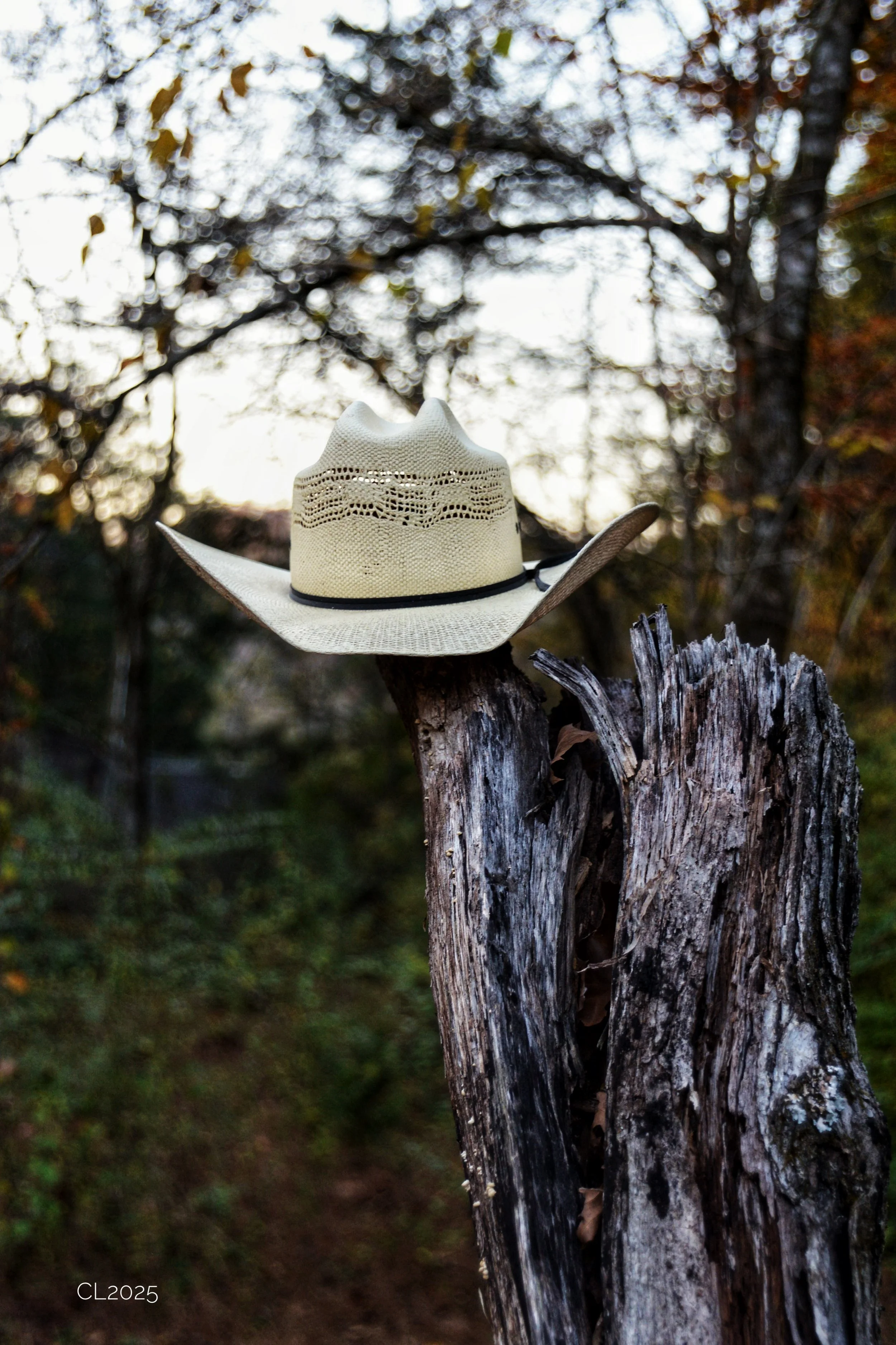 DSC_1871.JPG