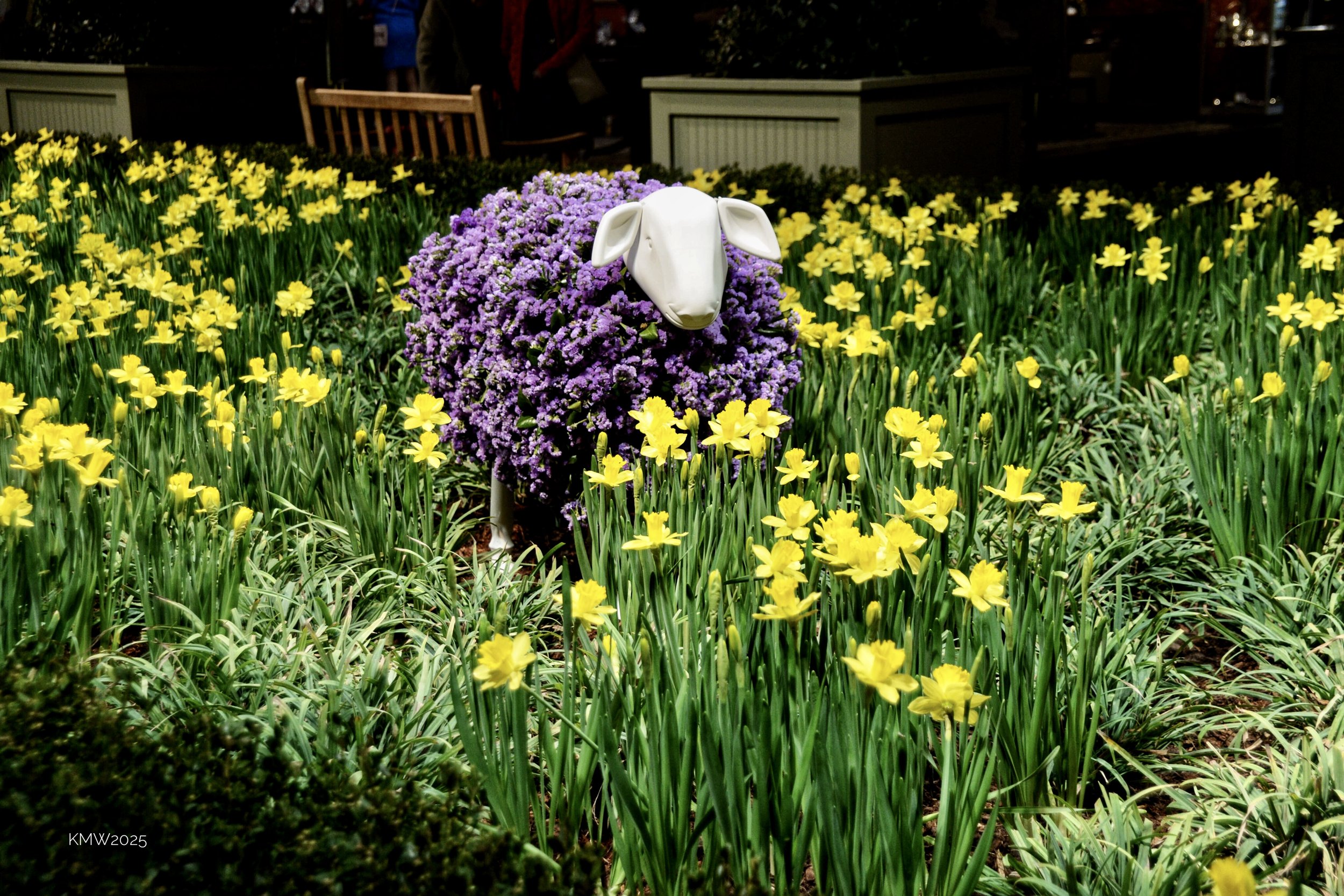 DSC_6628.JPG
