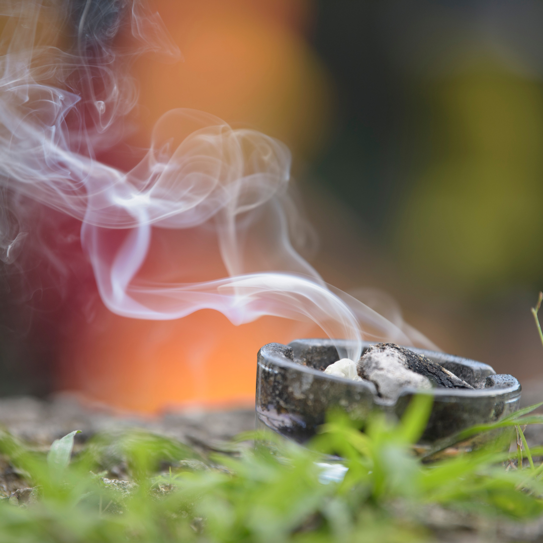  connecting with nature to develop intuition 