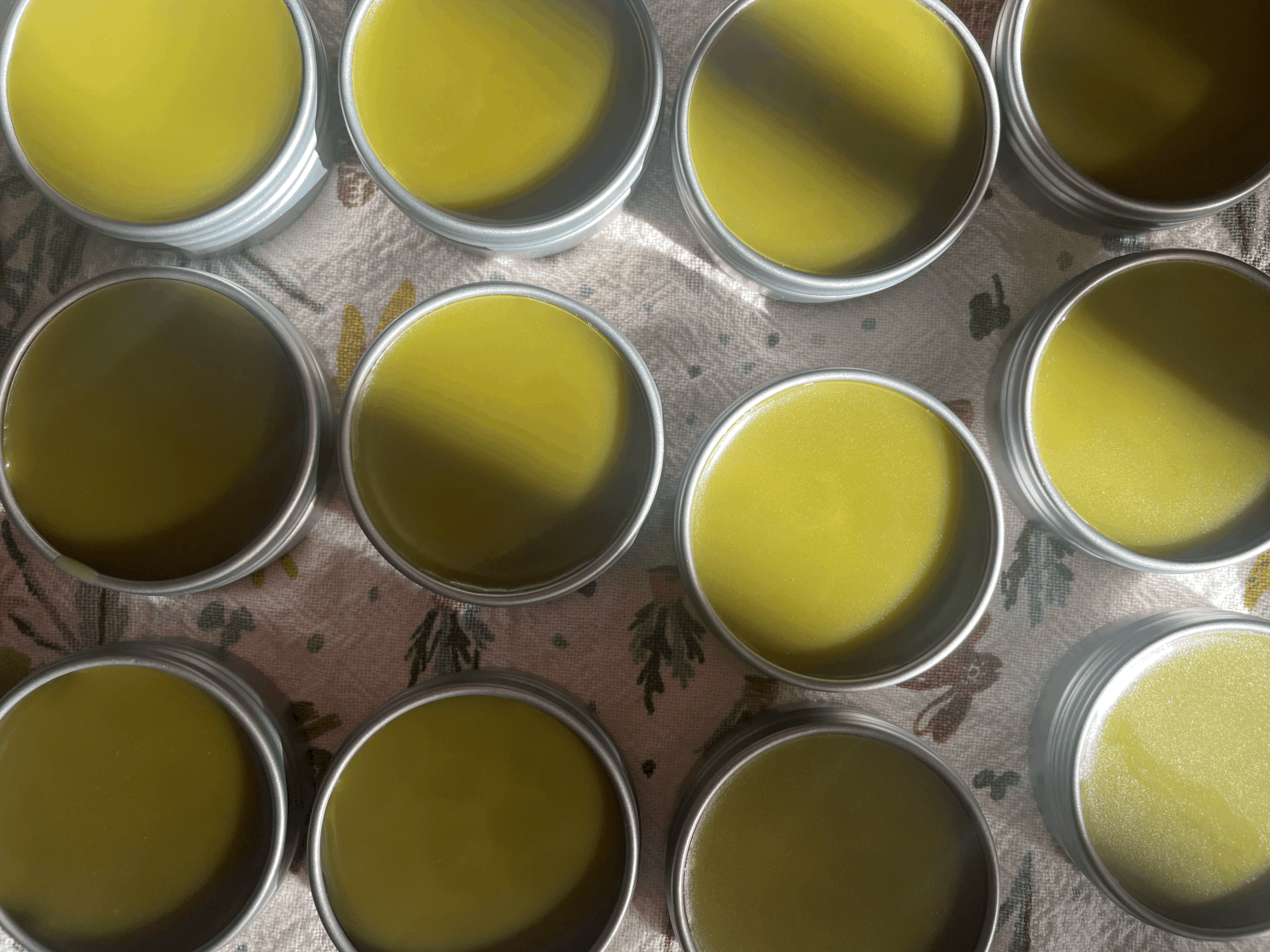 Black Walnut Balm | Anti-fungal Remedy