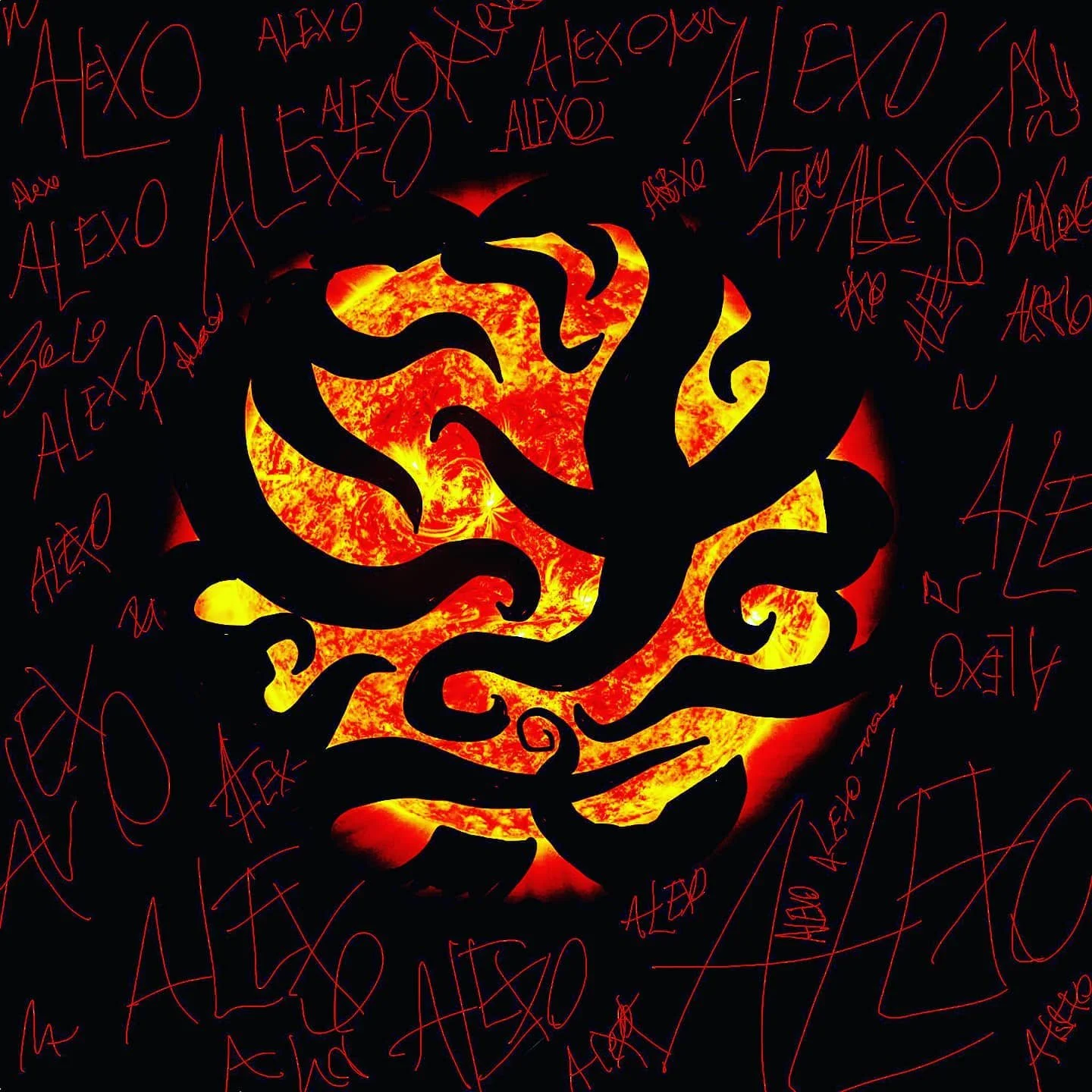 alexo 8.jpg
