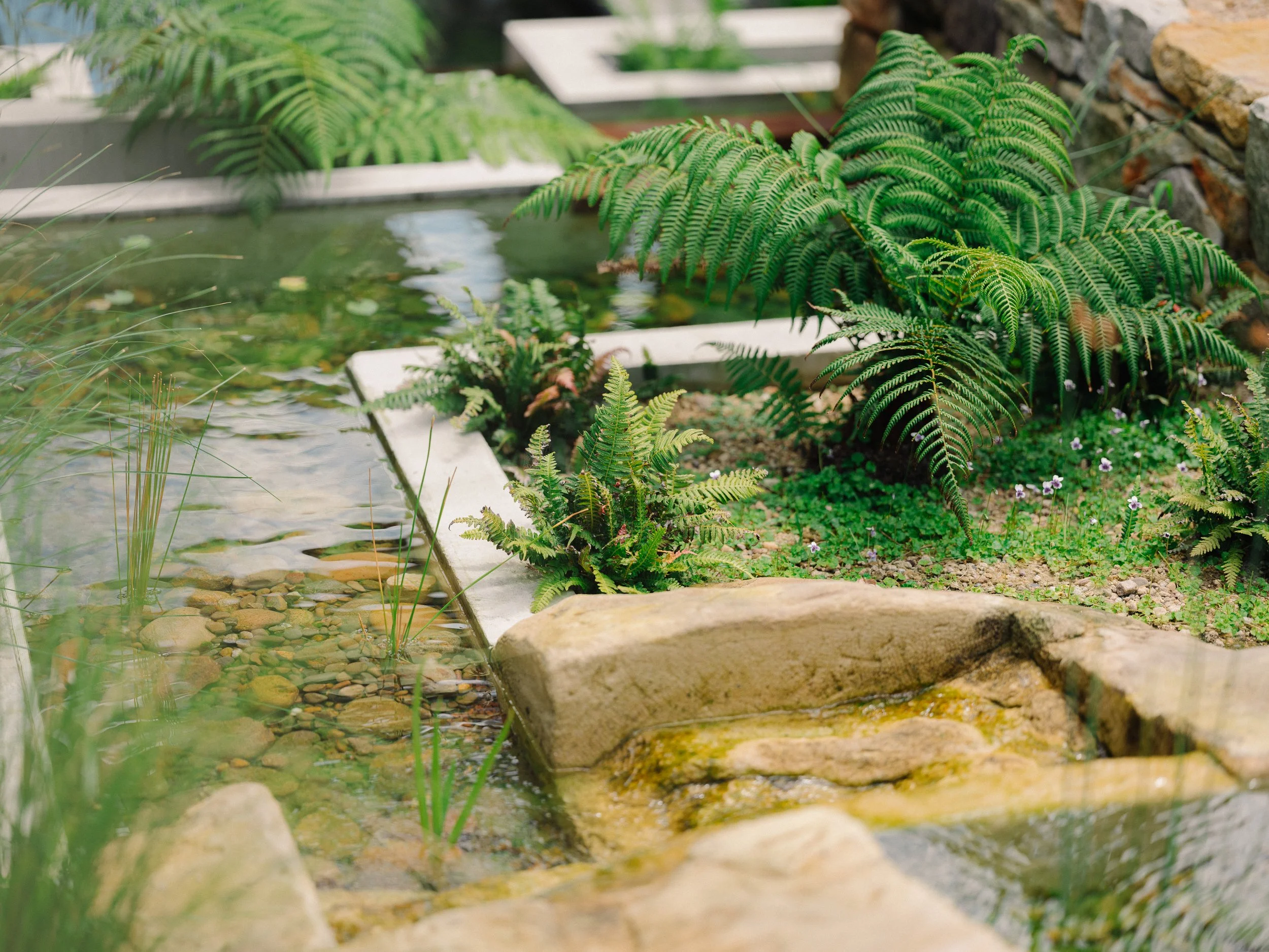 Holocene House: Ponds + Natural Pools