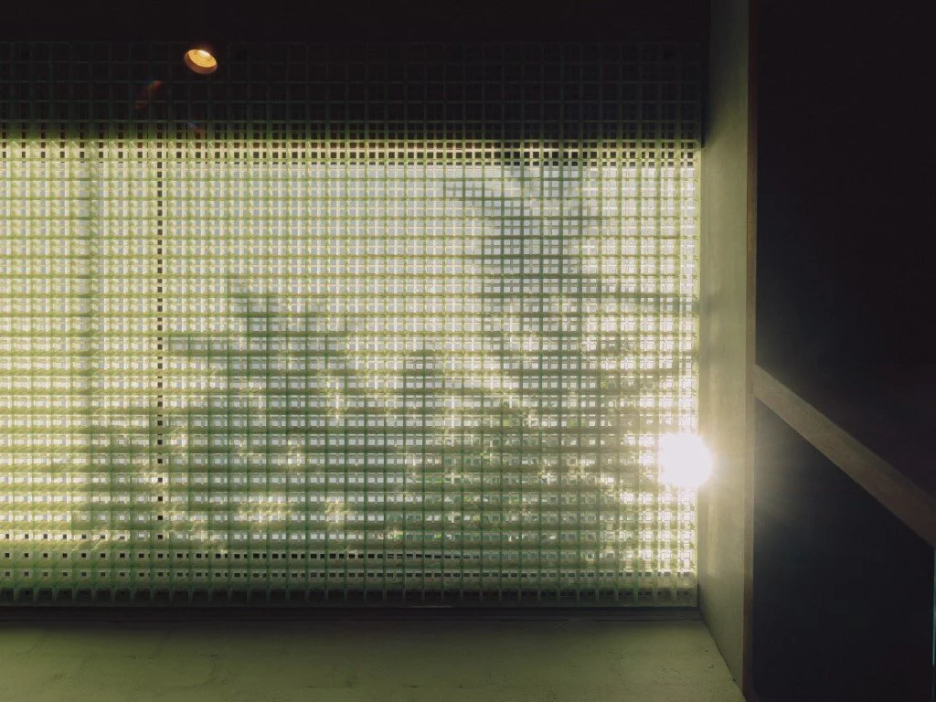 C+C_DH_11_27_FRP SKYLIGHT_RD.jpg