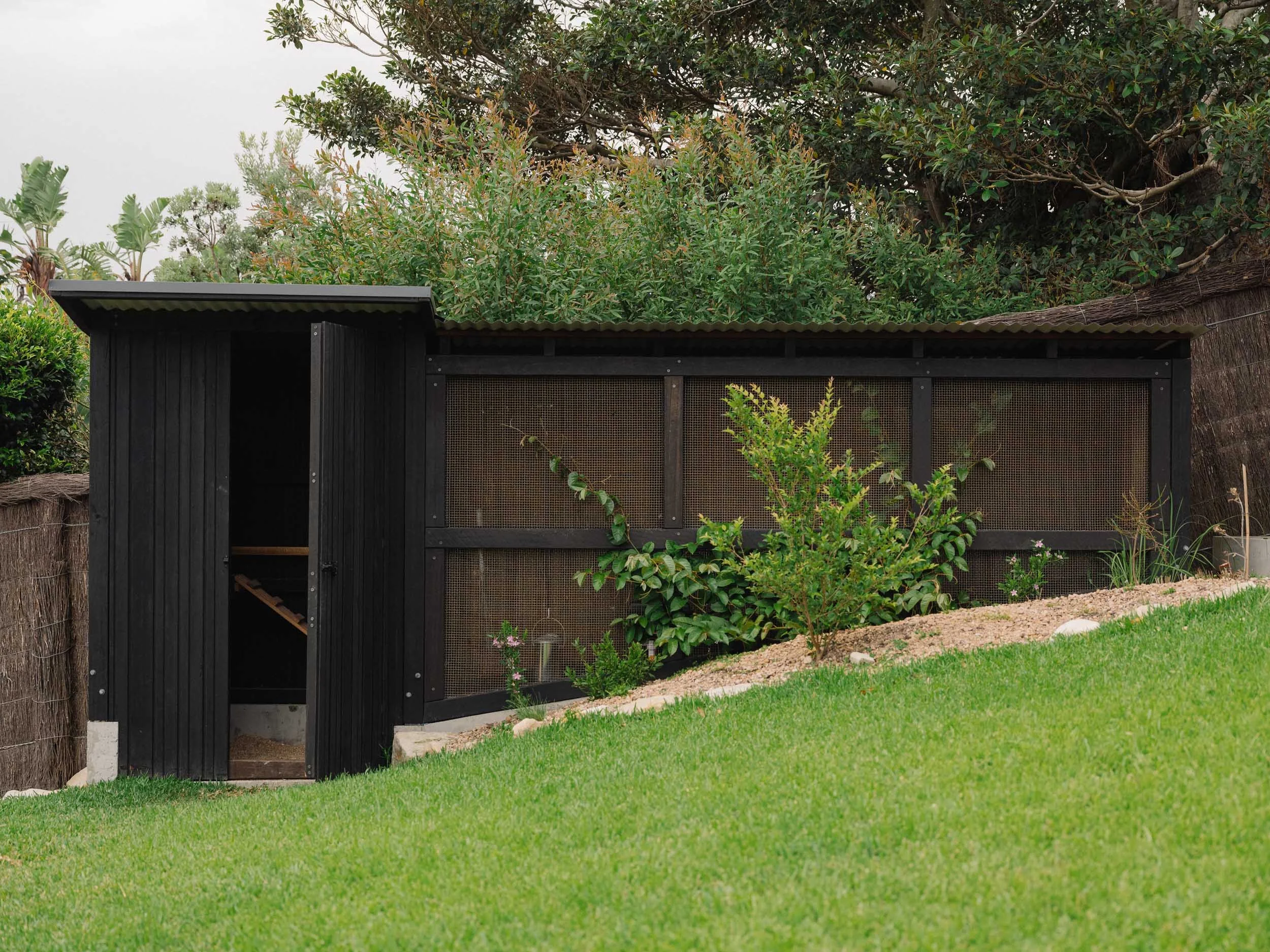 C+C_HH_14_32_CHICKEN COOP FRONT_RD.jpg