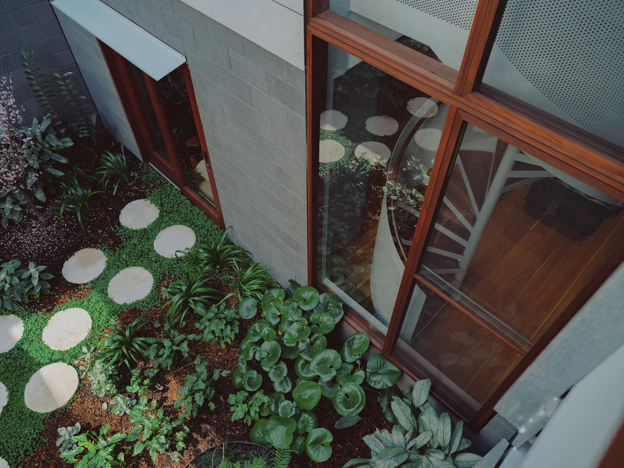 C+C_DOVE HOUSE_6_5_COURTYARD GARDEN TOP VIEW_RD.jpg