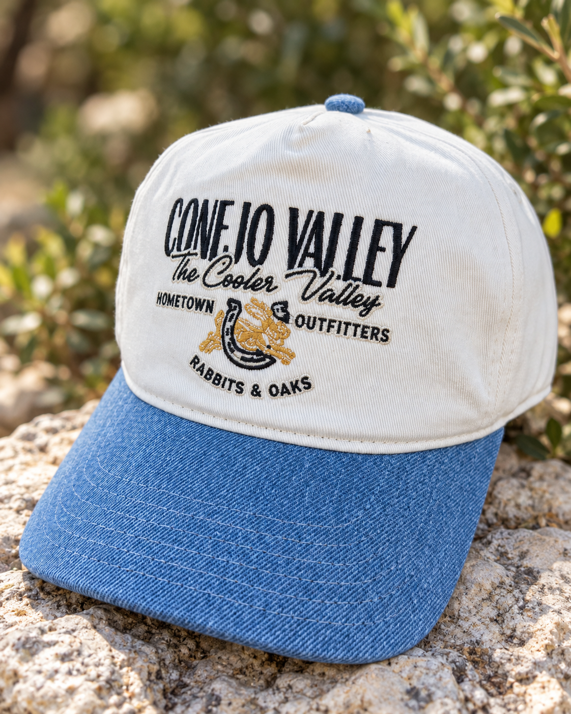 Conejo Valley Hat on Limestone-3.png