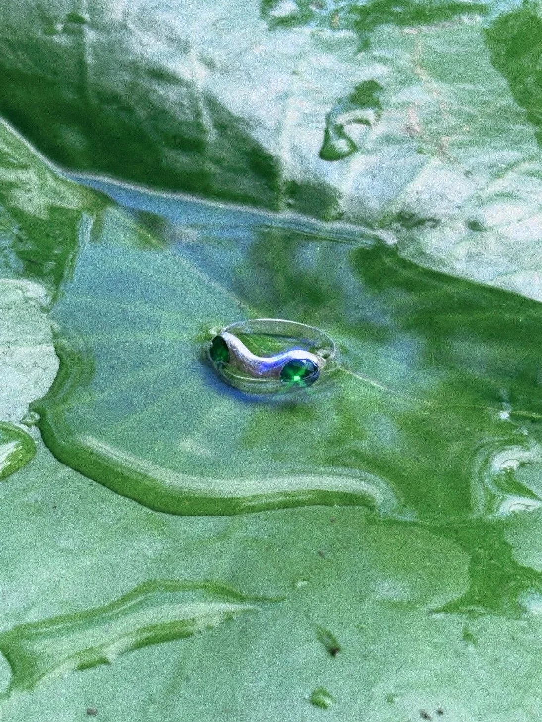 Pond gazer 𓆏