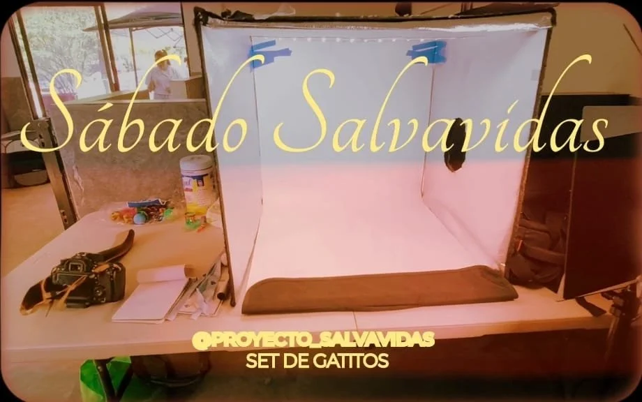 WhatsApp Image 2025-10-09 at 9.28.39 PM.jpeg