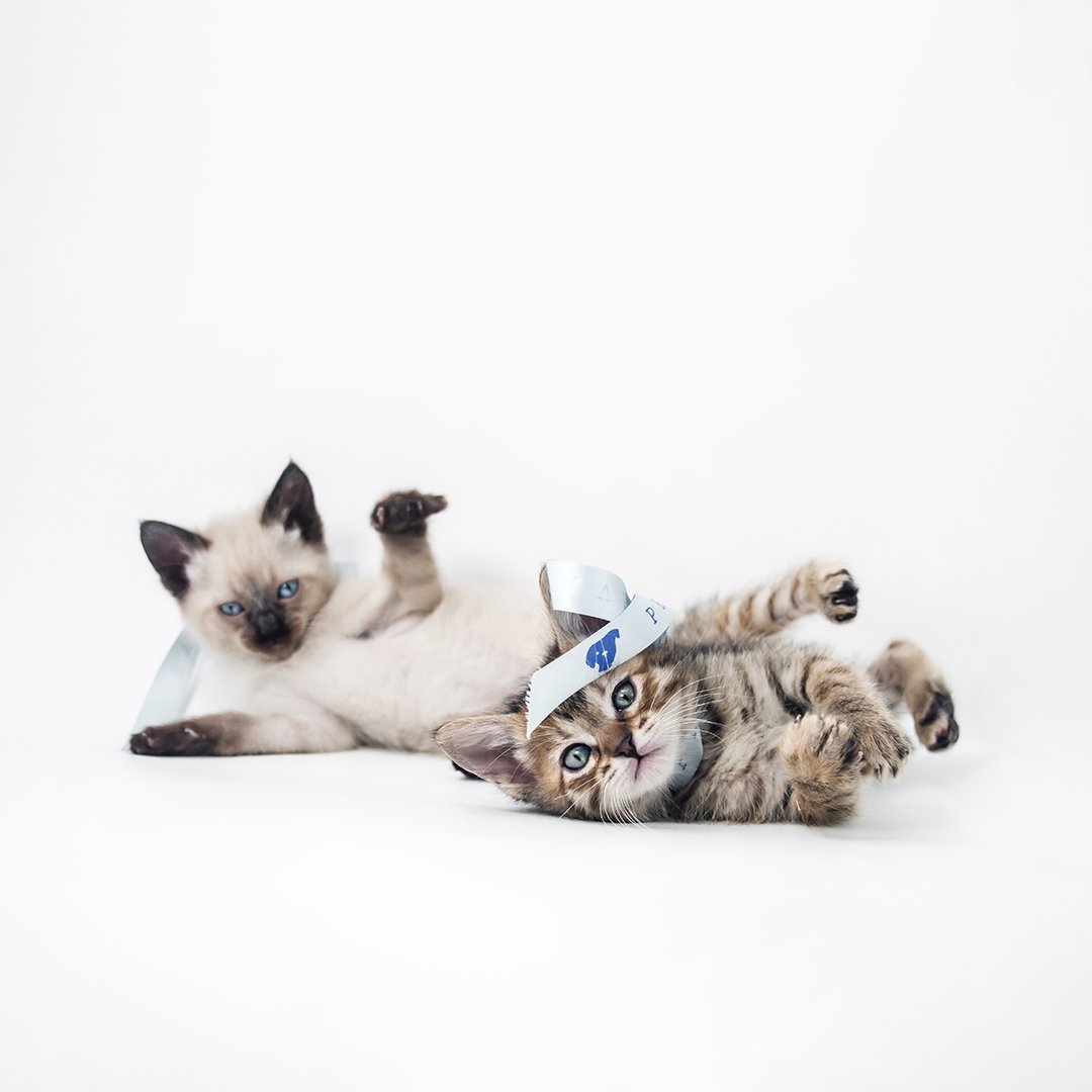 sin logo _MG_7521.jpg