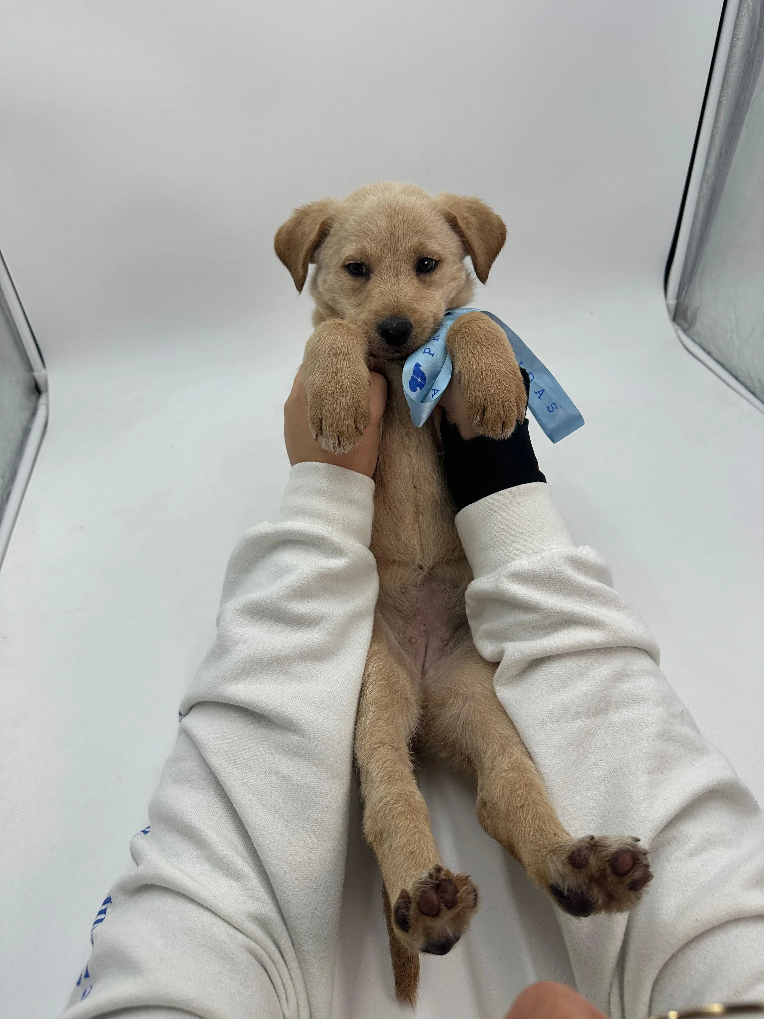 WhatsApp Image 2025-10-09 at 9.28.40 PM(2).jpeg