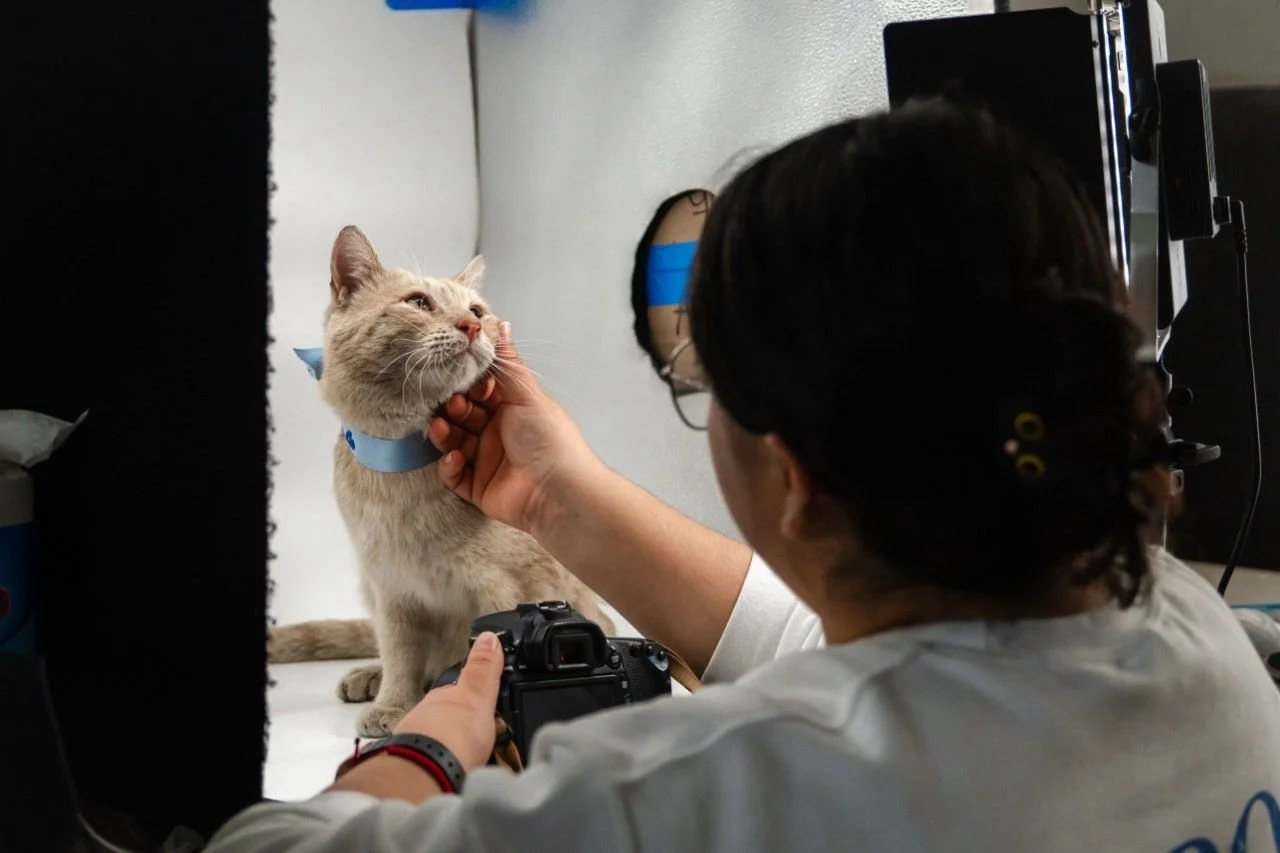 WhatsApp Image 2025-10-09 at 9.28.39 PM(3).jpeg