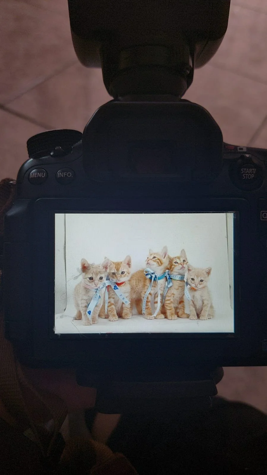 WhatsApp Image 2025-10-09 at 9.28.39 PM(1).jpeg