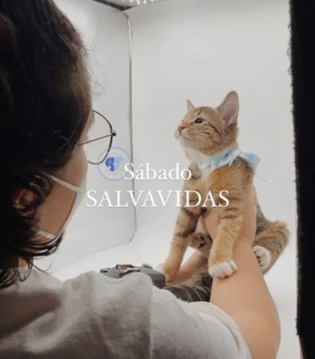 WhatsApp Image 2025-10-09 at 9.28.32 PM(3).jpeg