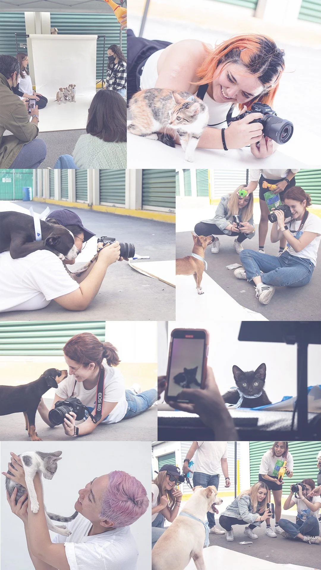 FOTOGRAFOS COLLAGE.jpg