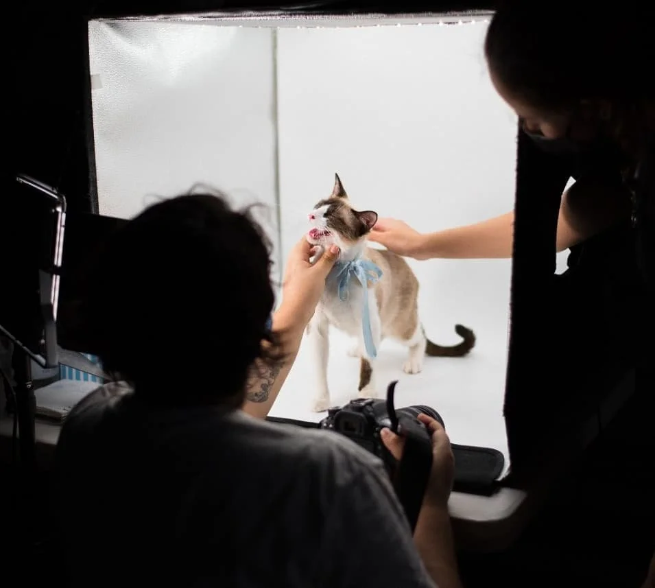 WhatsApp Image 2025-10-09 at 9.28.32 PM(1).jpeg