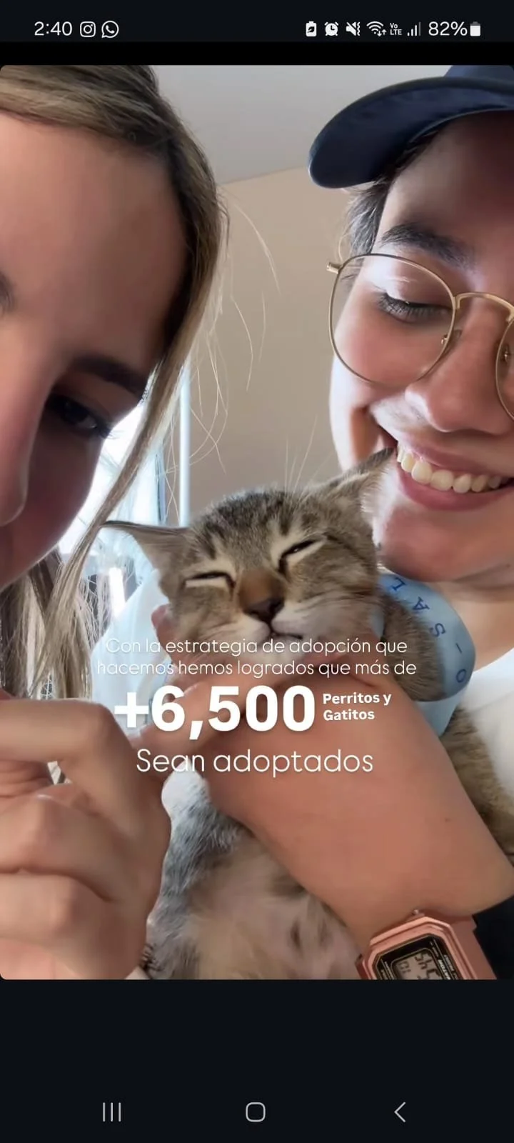 WhatsApp Image 2025-10-09 at 10.11.53 PM(1).jpeg