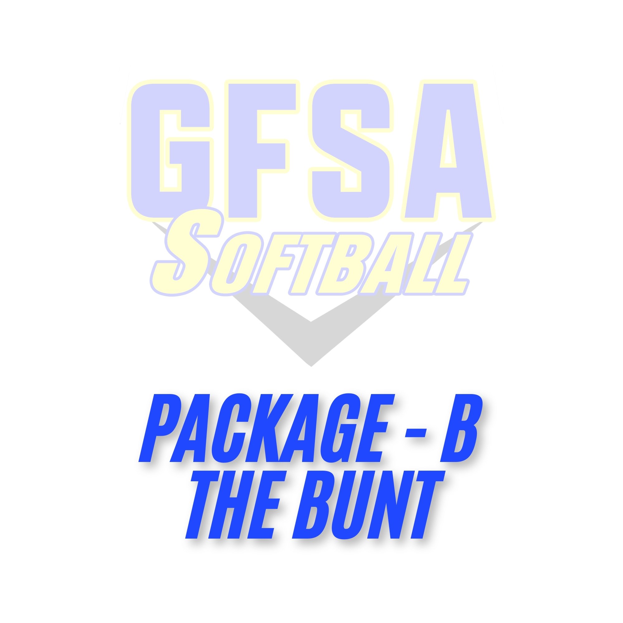 Black Icon Baseball Sport Logo-2.jpg