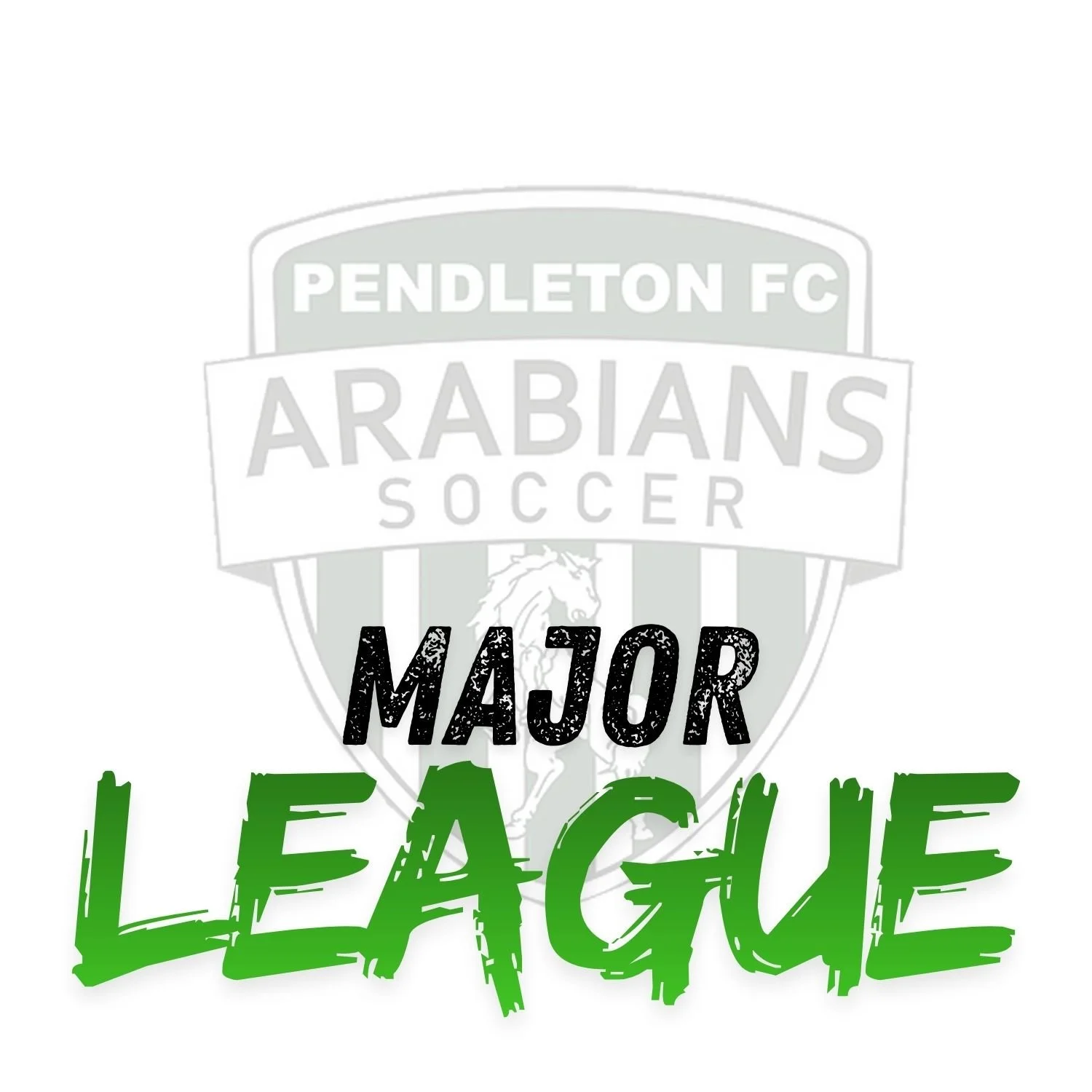 Private Session - The Major League