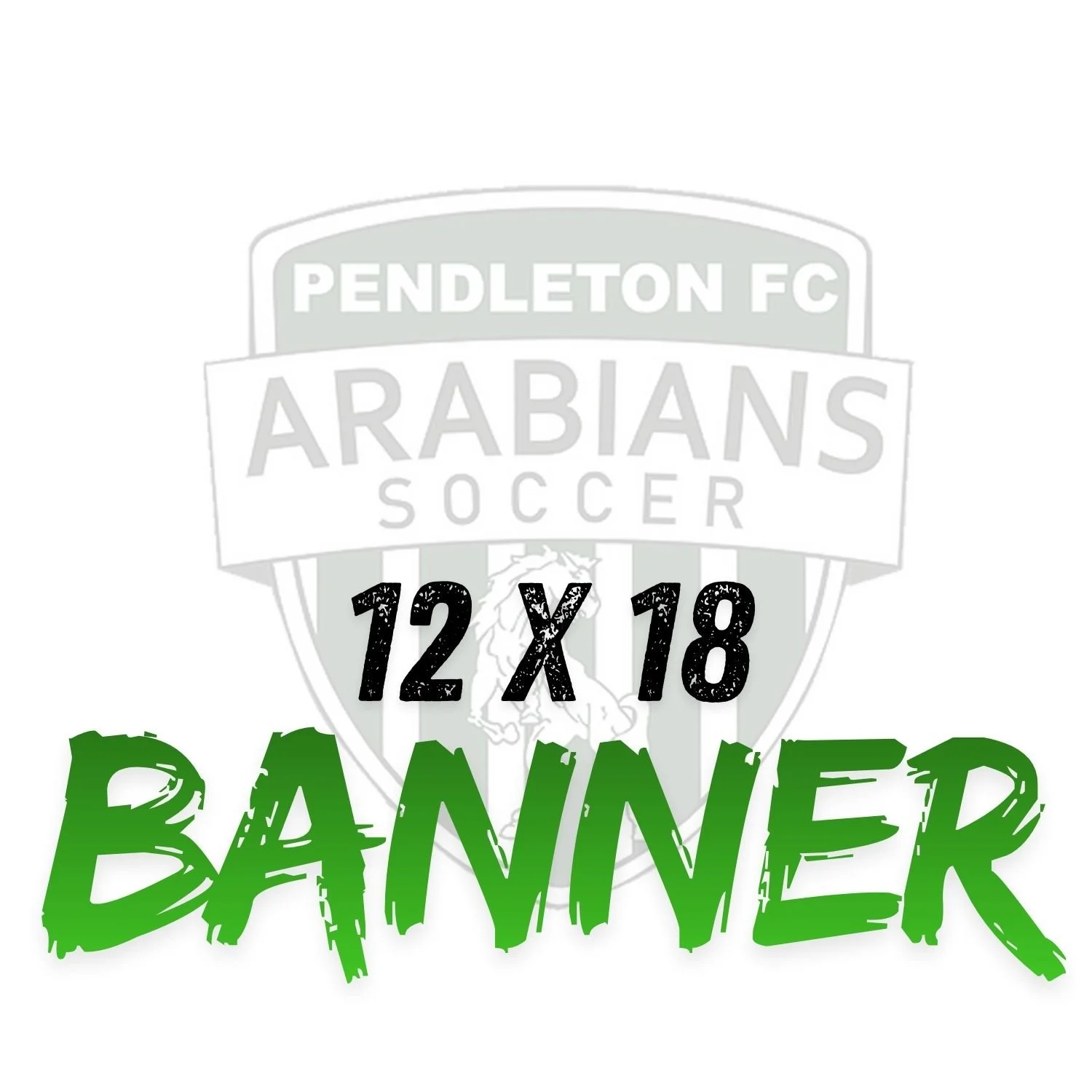 12 x 18 Vinyl Banner