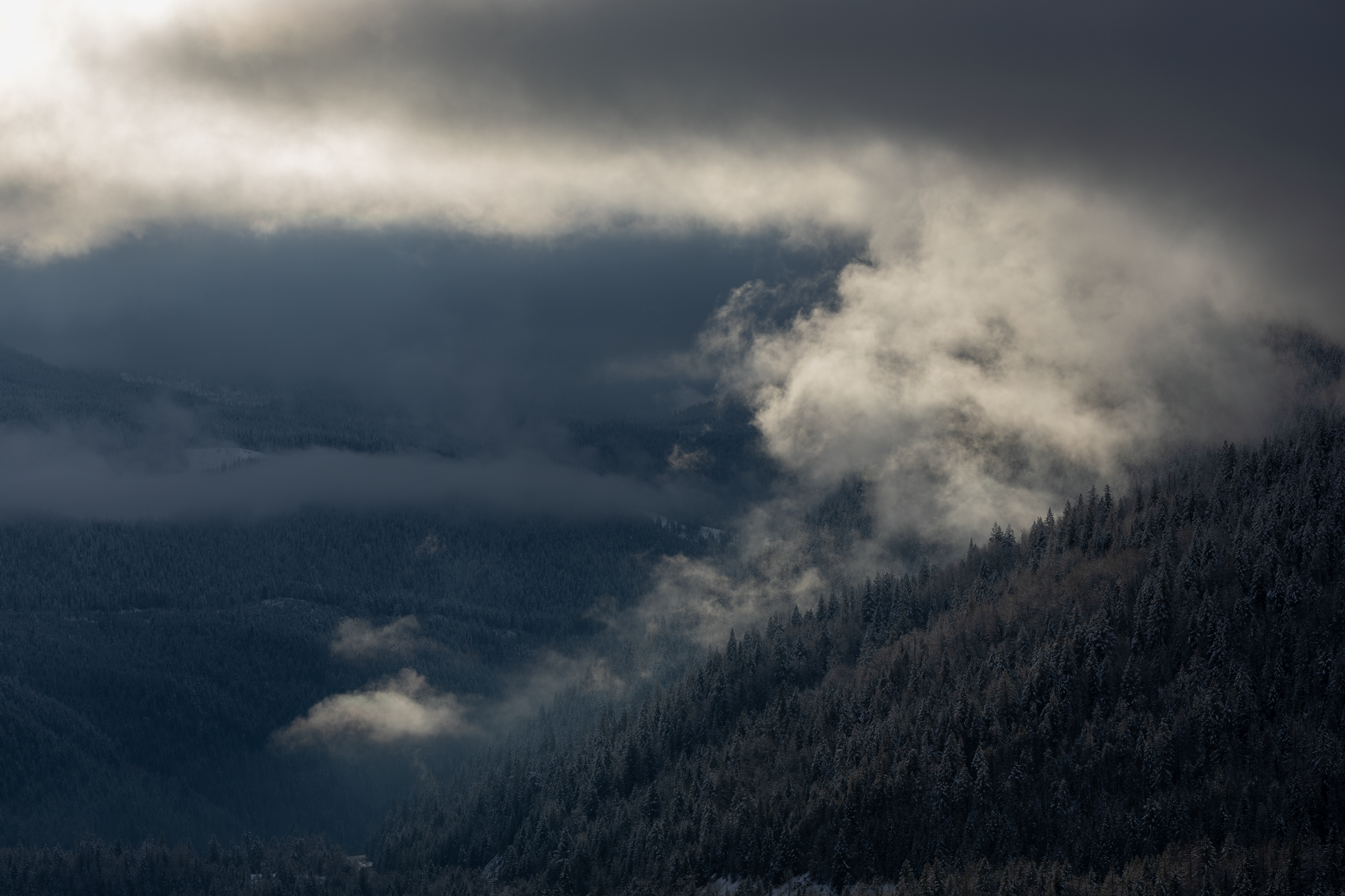 20241130-2B8A1902.png