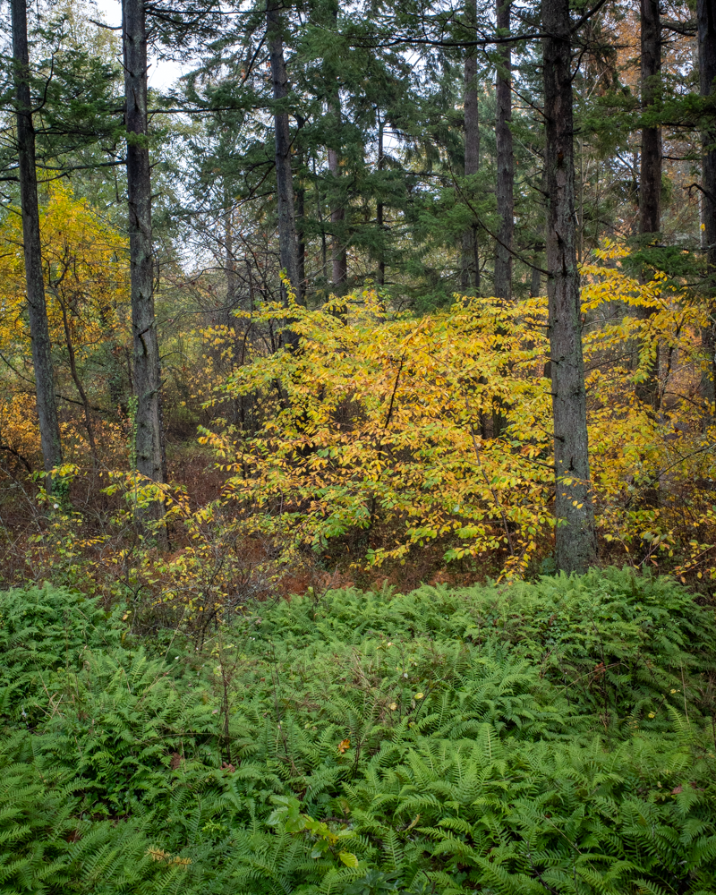 20241109-R0000453.png
