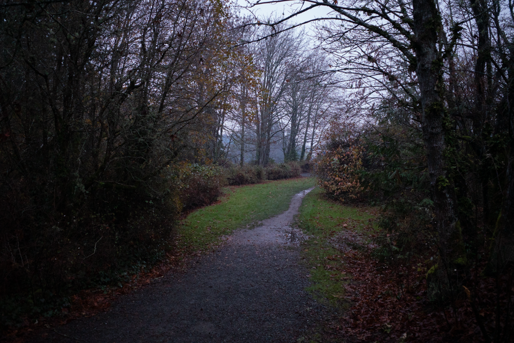20241109-R0000539.png