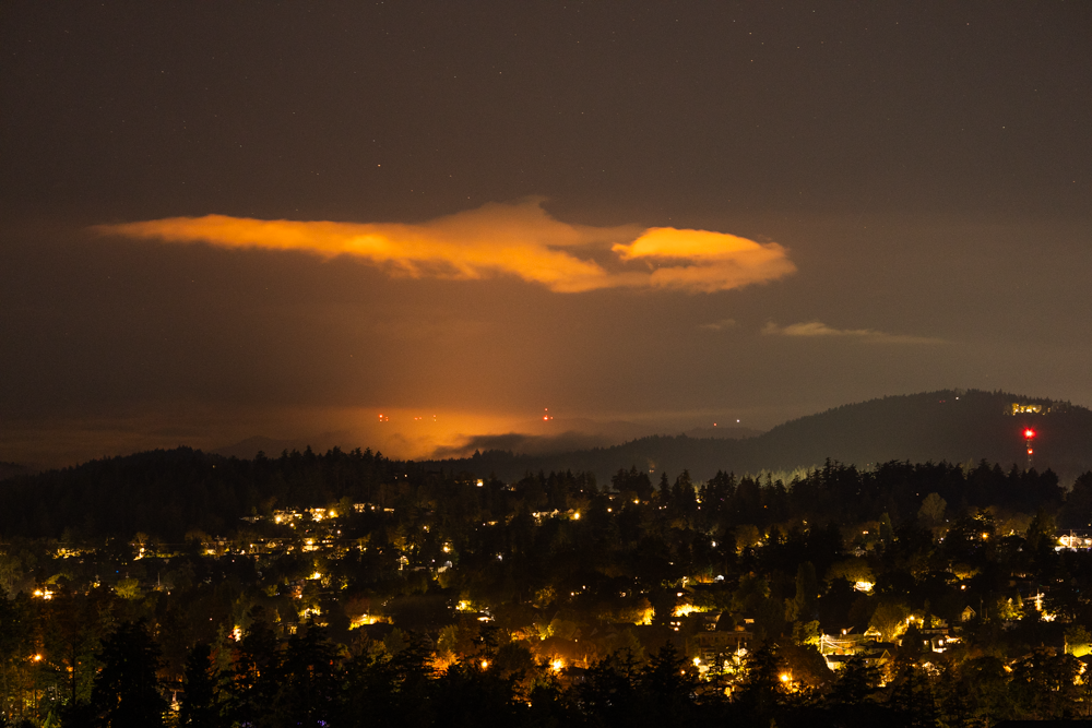 20241010-2B8A0937.png