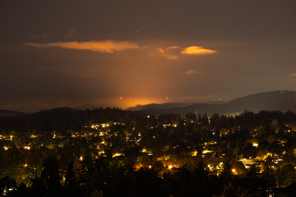 20241010-2B8A0945.png
