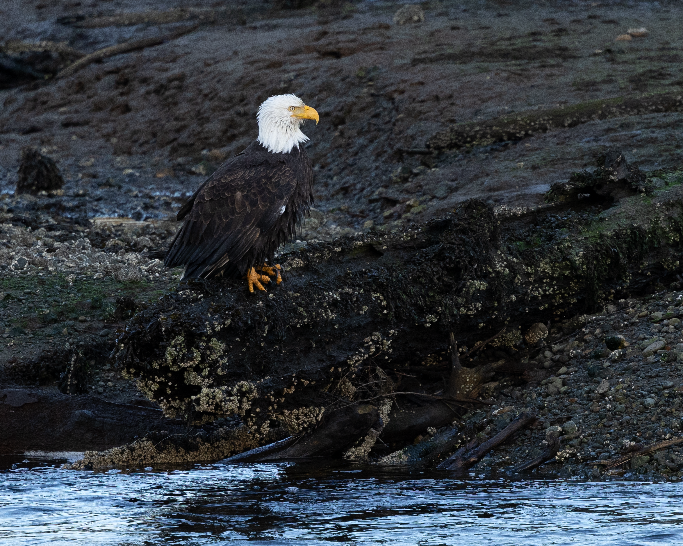 20241211-2B8A2547.png