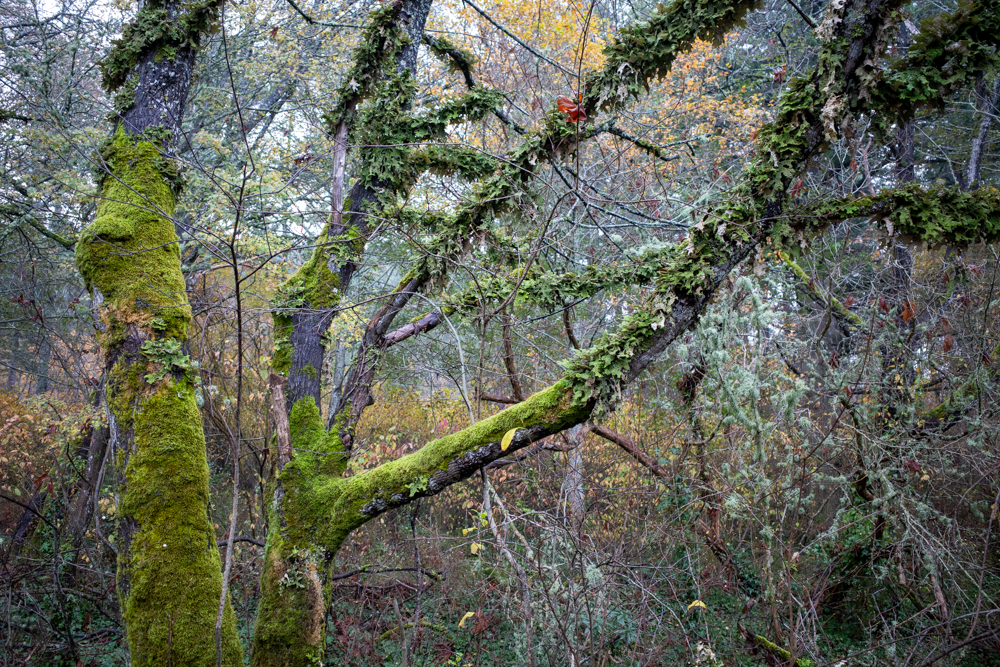 20241109-R0000470.png