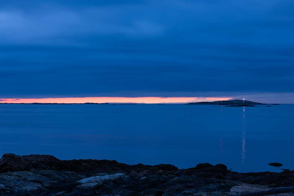 20241010-2B8A0963.png