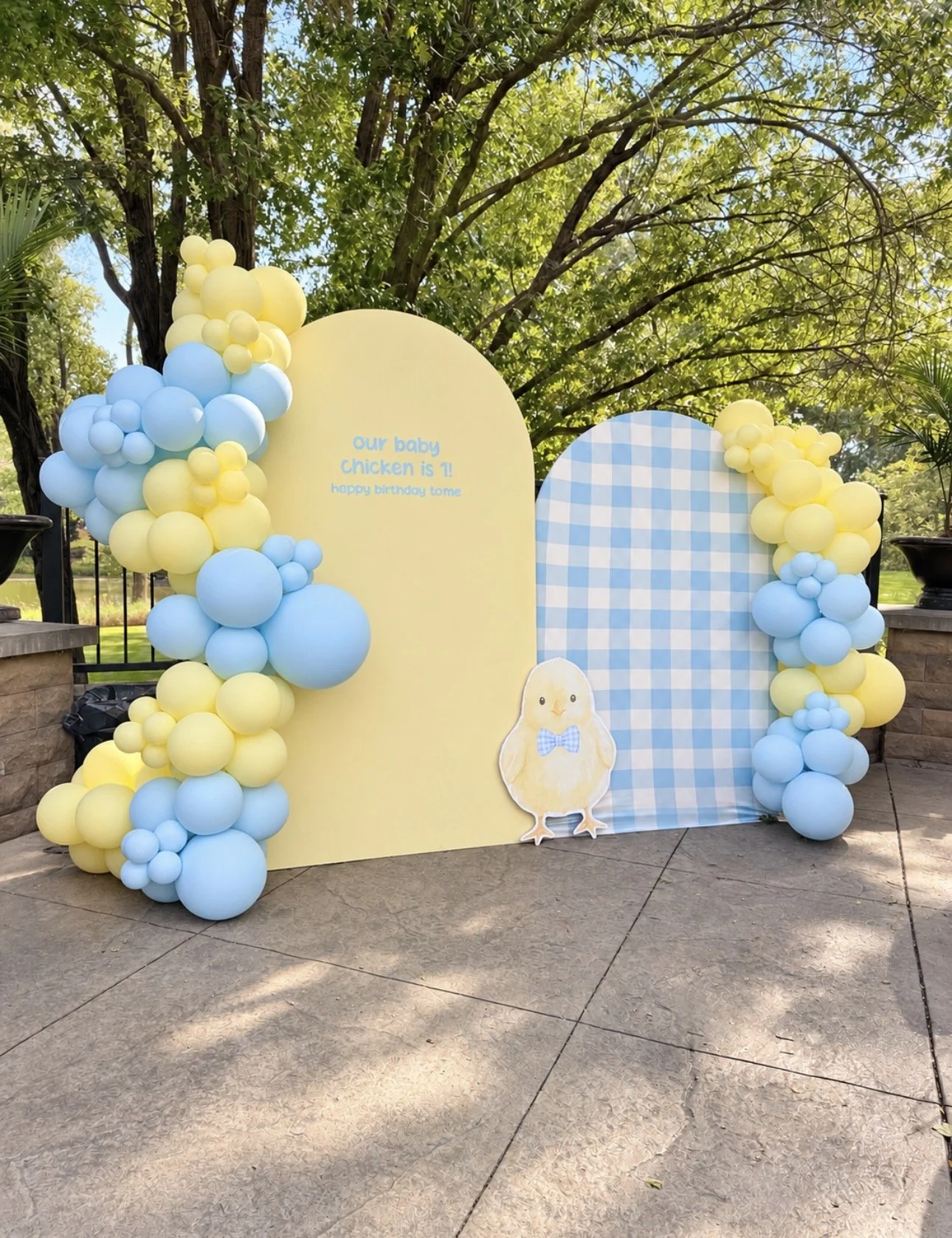 Chicken-themed first birthday party with custom balloon decor and backdrops by Paysen’s Parties for J.J. McCarthy’s son Rome in Minnesota
