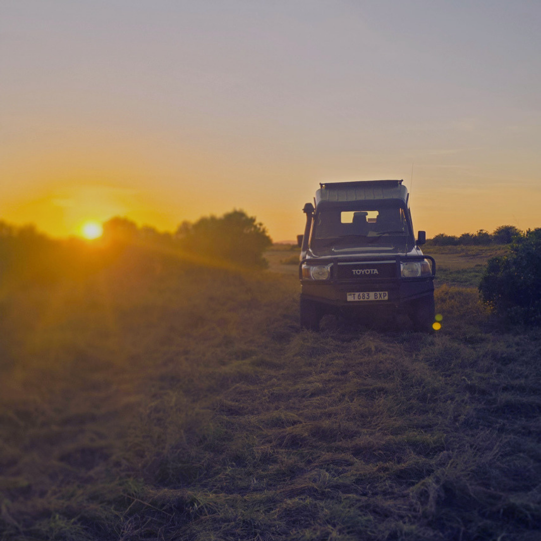 Not All African Safaris Are Created Equal: What Every First-Time Traveler Should Know!