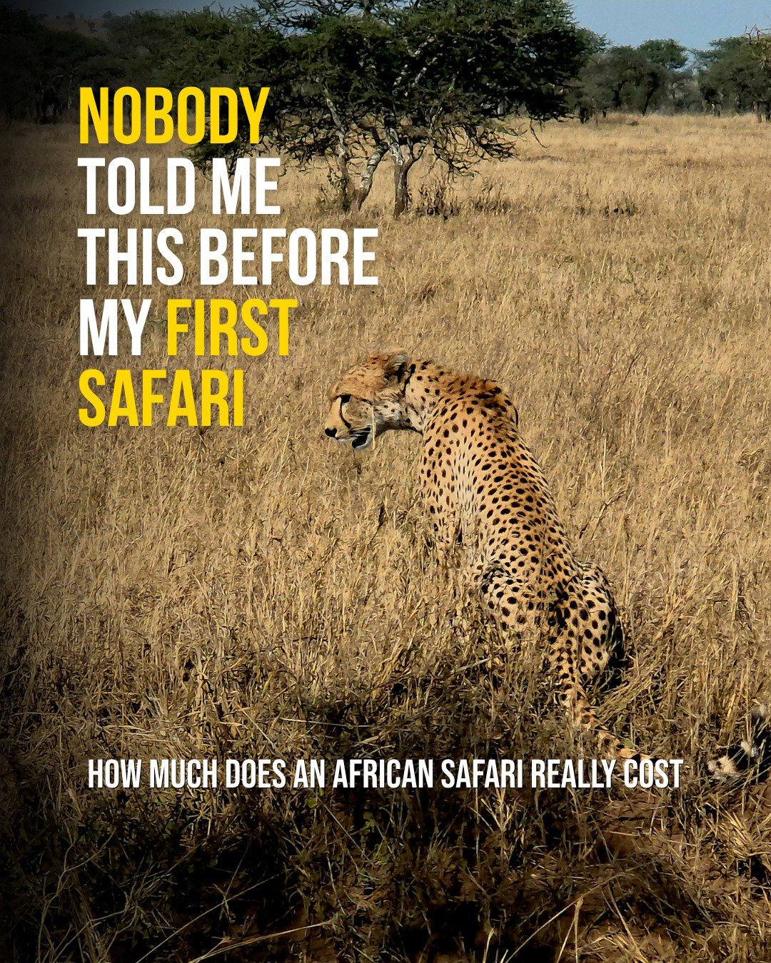 Before I experienced safari for myself, I saw the price and wondered the same thing...

💰Why does a safari cost THAT much? 🤔

But once I started traveling through Africa and understood everything happening behind the scenes, the price began to make