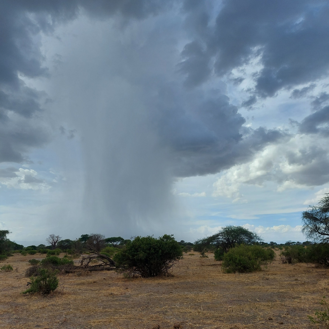 Rain clouds over the Serengeti during safari season in Tanzania