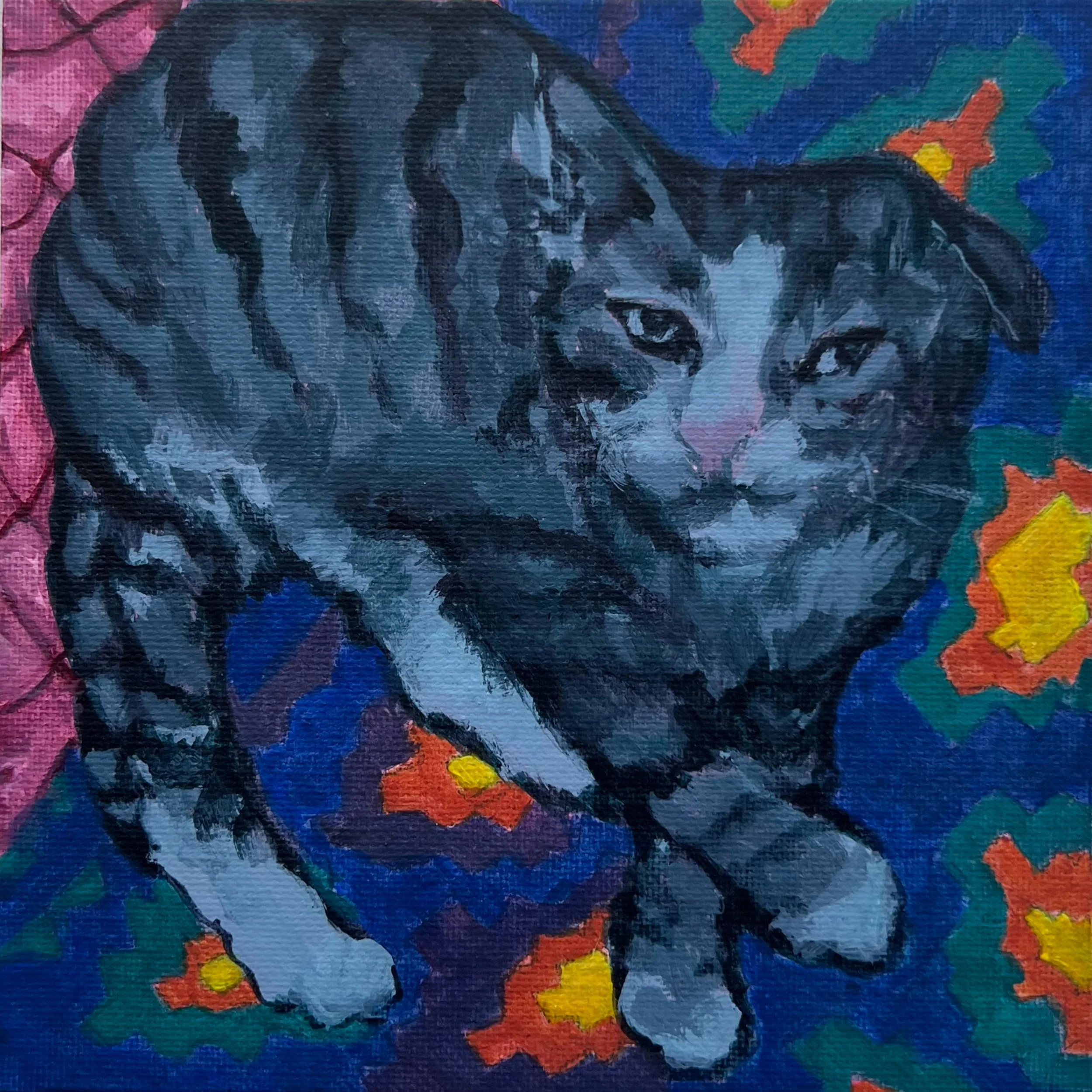 Catonrugjpeg.jpg