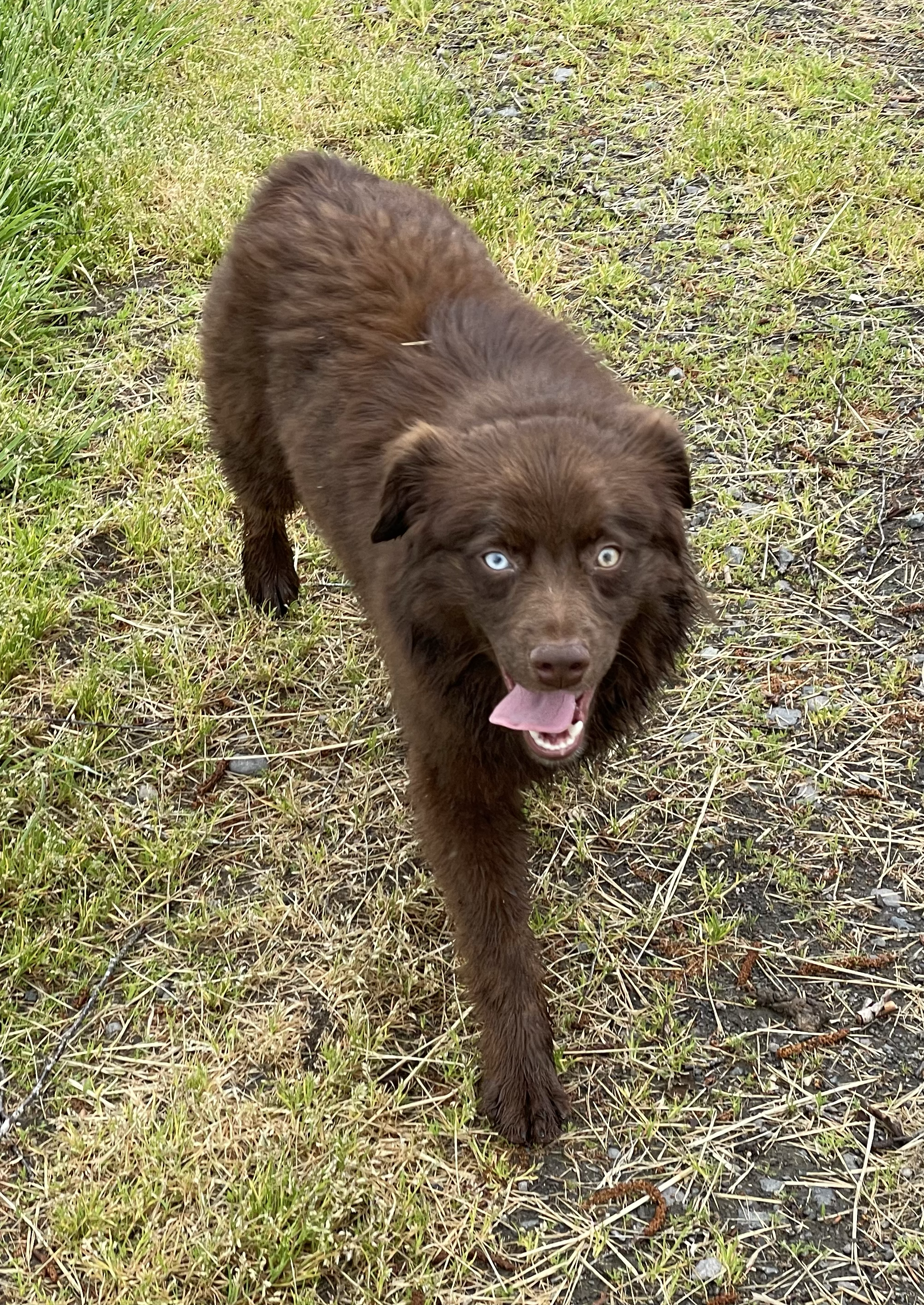 tempImageDJERd7.png