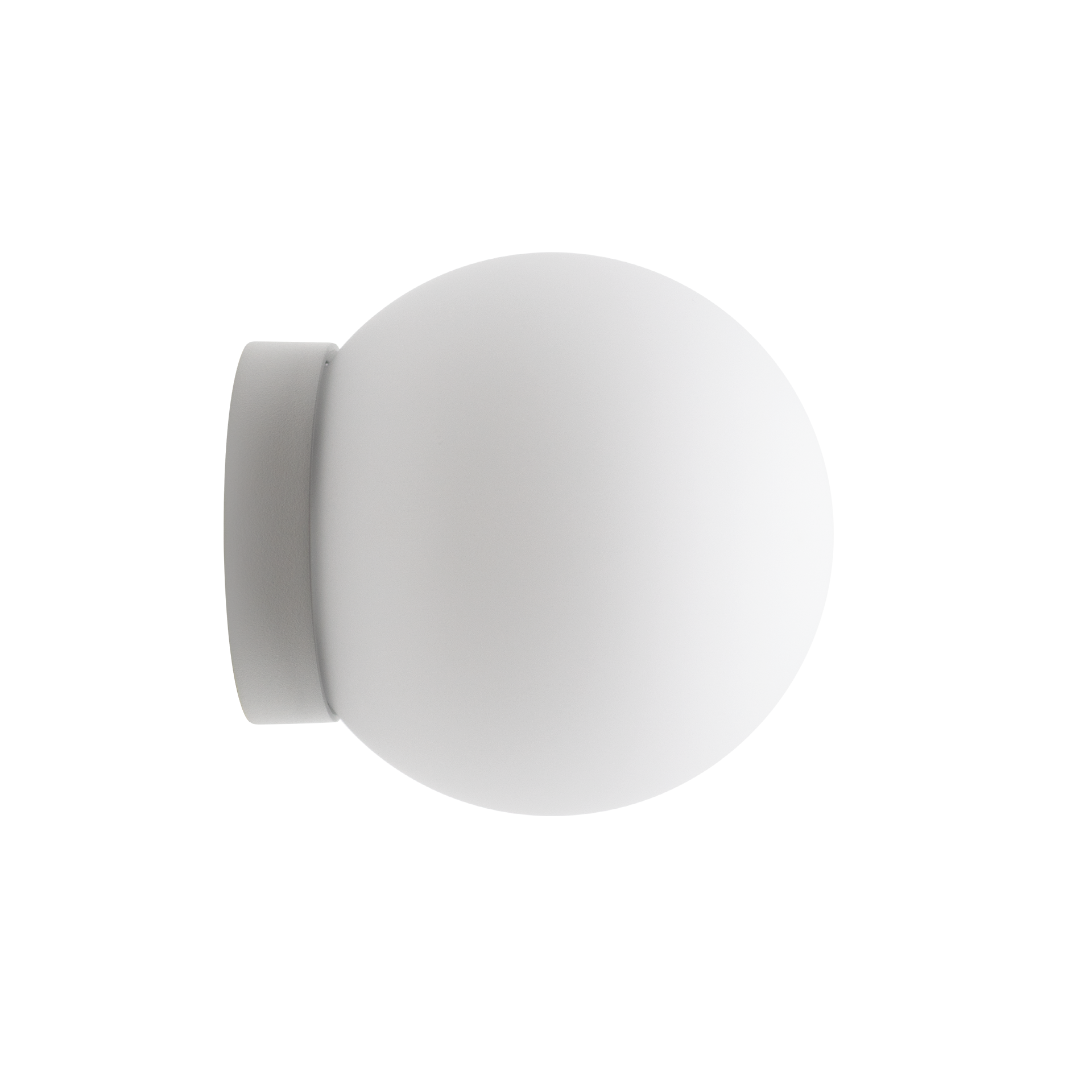 FAZE-SOL-WHITE-SEP24.png